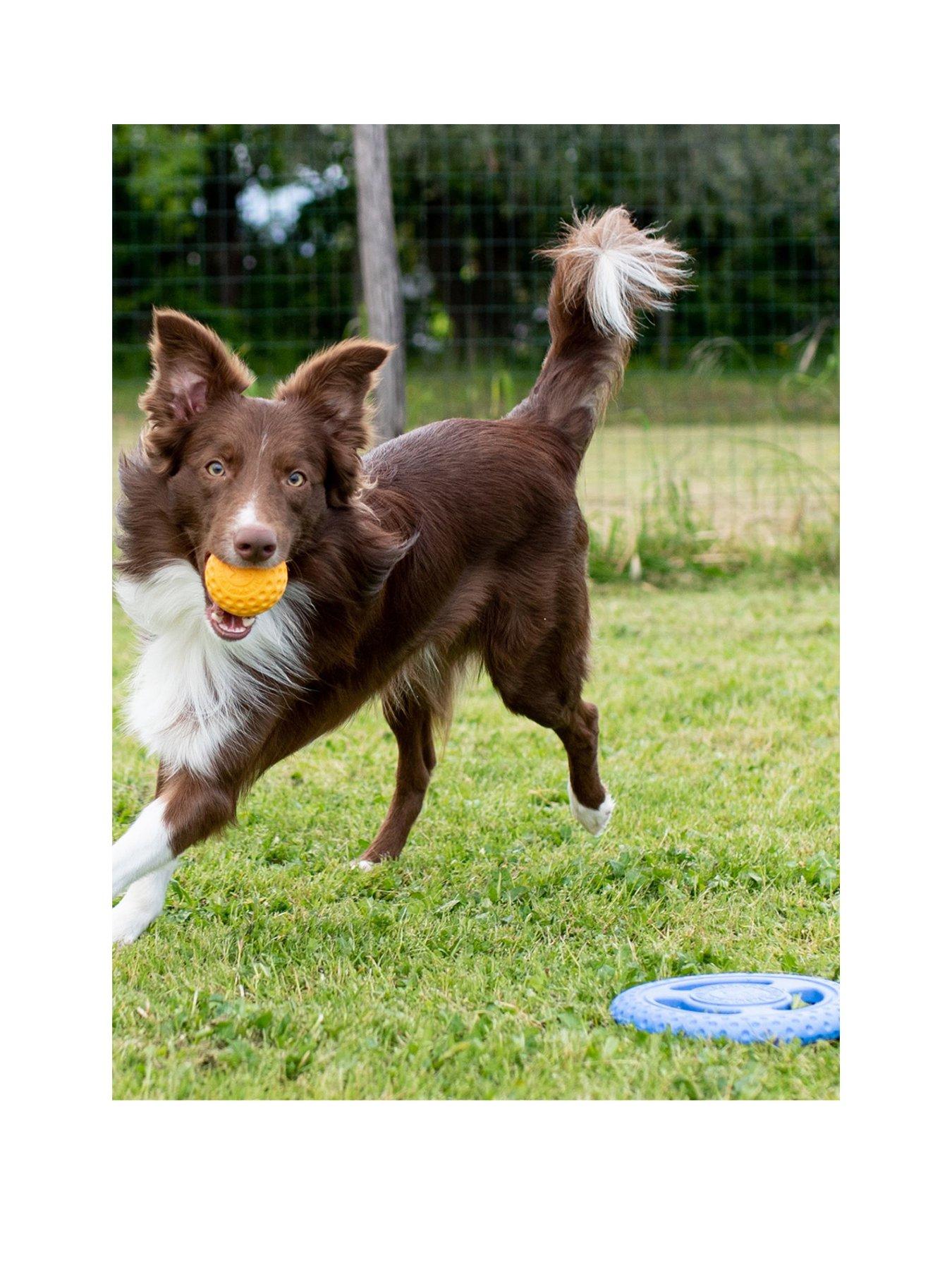  image of kiwi-walker-lets-play-ball-mini-octopus-twin-set-orange