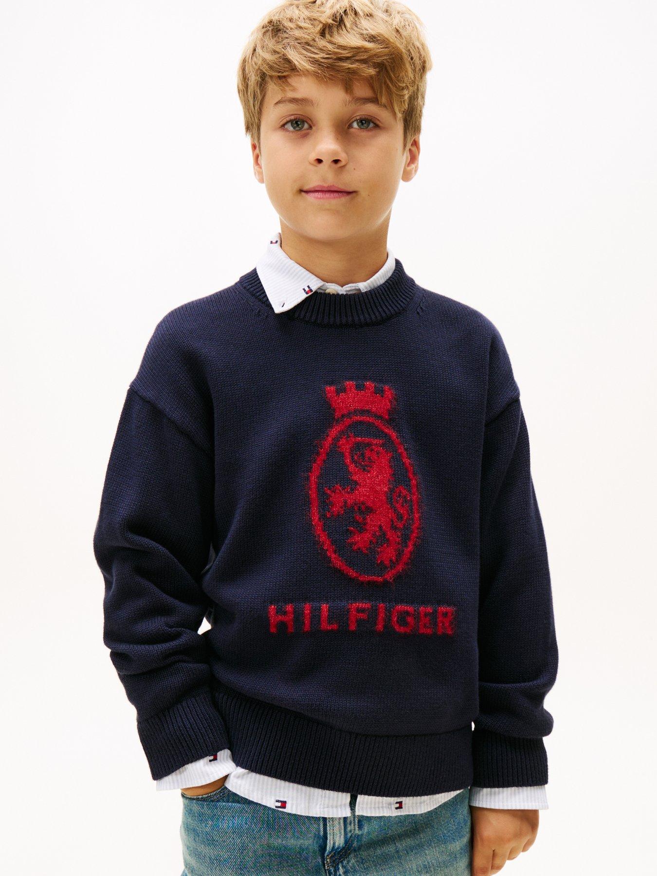 Tommy Hilfiger Boys Wool Crest Crew Neck Sweater - Navy