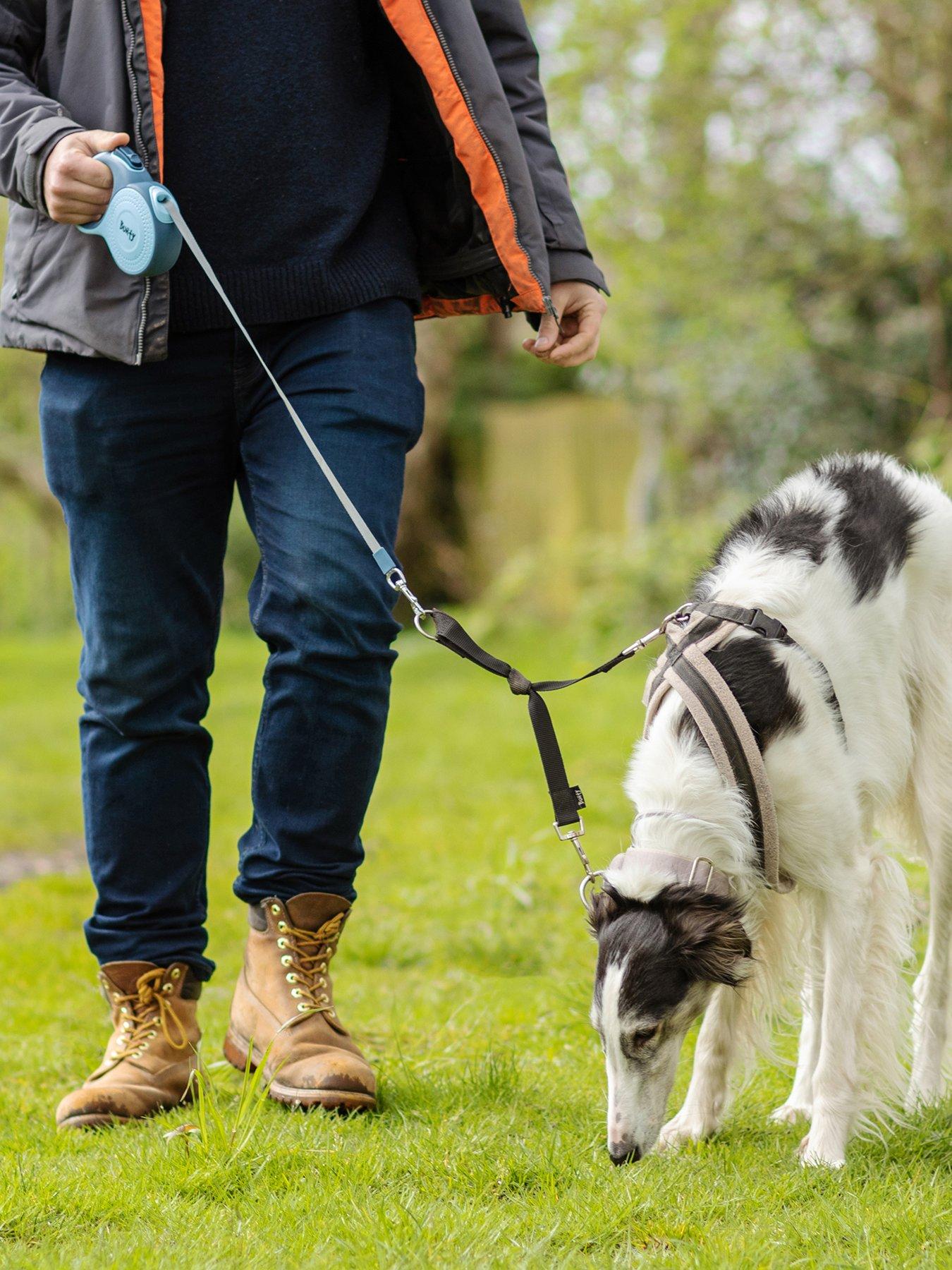 bunty-explorer-pet-lead