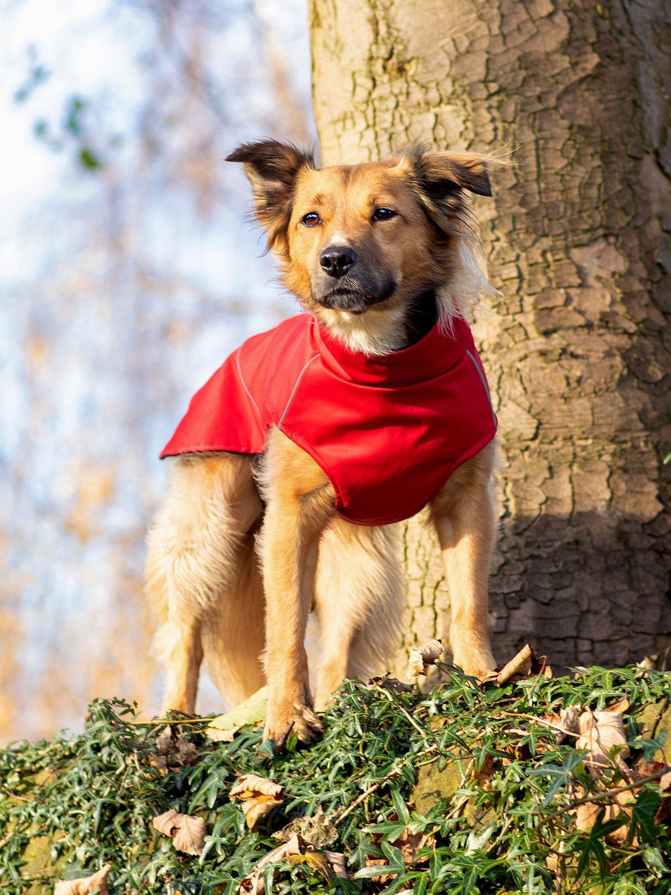 bunty-downpaw-jacket