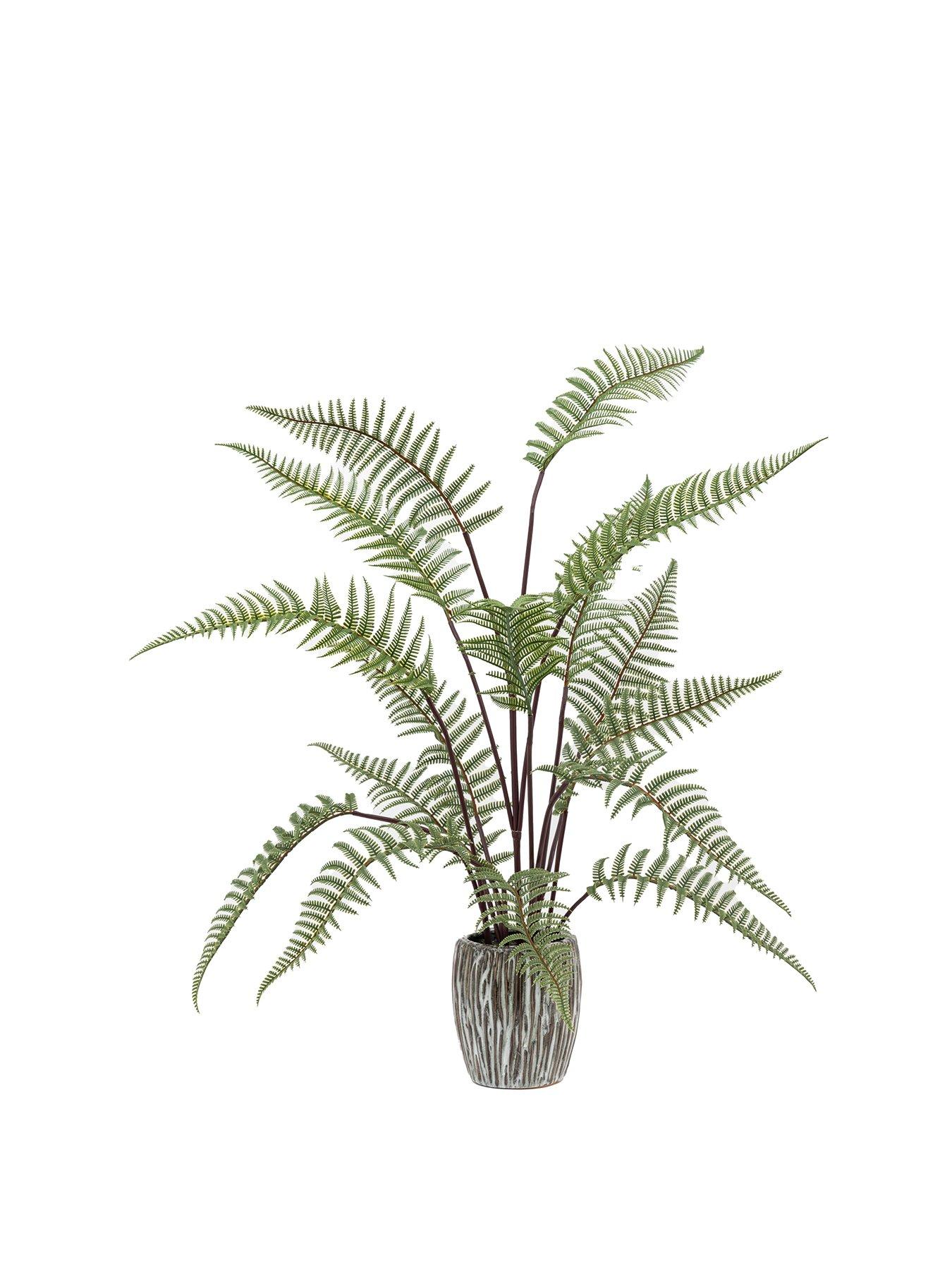 Image 1 of 3 of Gallery Direct Tall Fern In Textured Grey Ceramic Pot