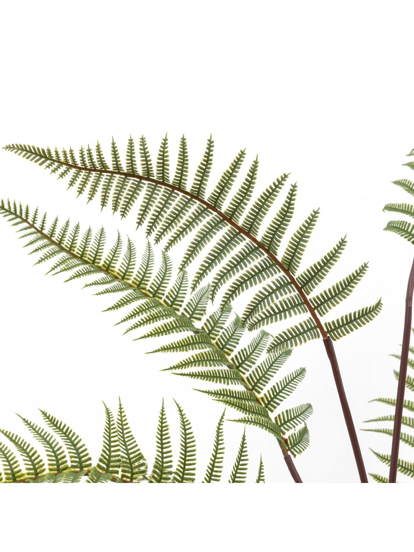 Image 2 of 3 of Gallery Direct Tall Fern In Textured Grey Ceramic Pot