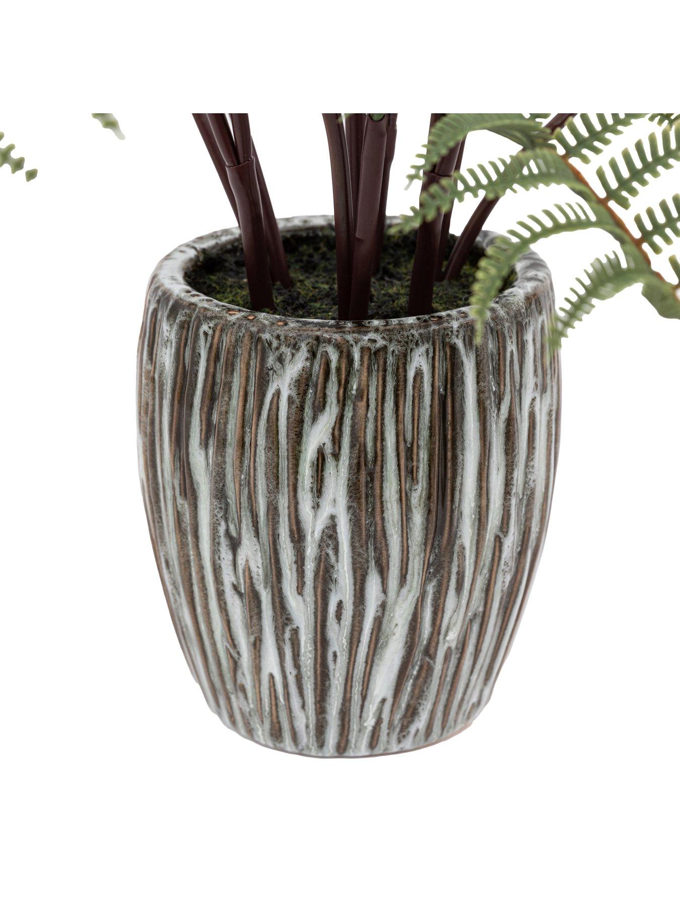 Image 3 of 3 of Gallery Direct Tall Fern In Textured Grey Ceramic Pot