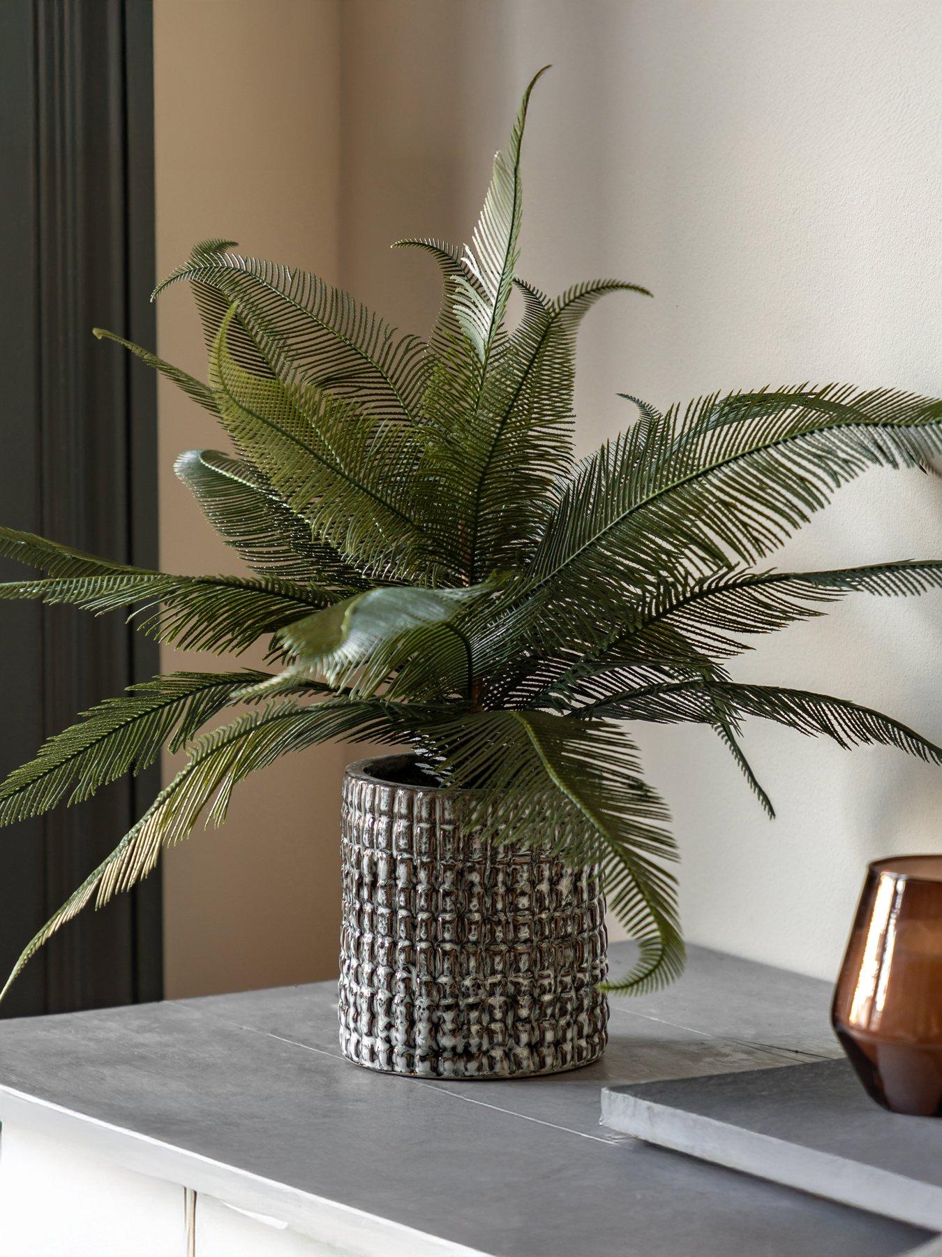 Image 1 of 6 of Gallery Direct Wide Fern In Concrete Pot