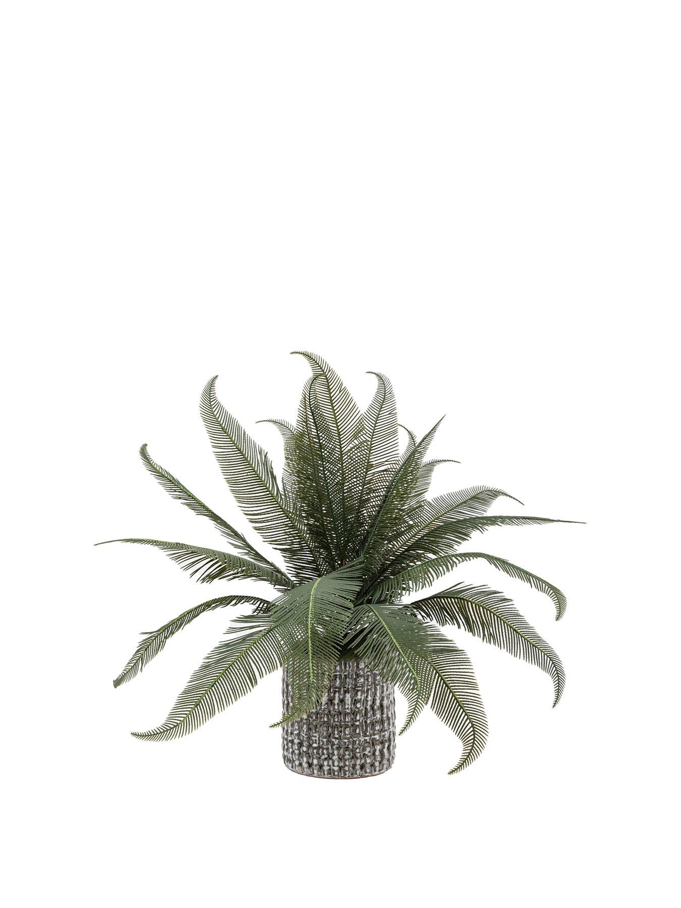 Image 2 of 6 of Gallery Direct Wide Fern In Concrete Pot