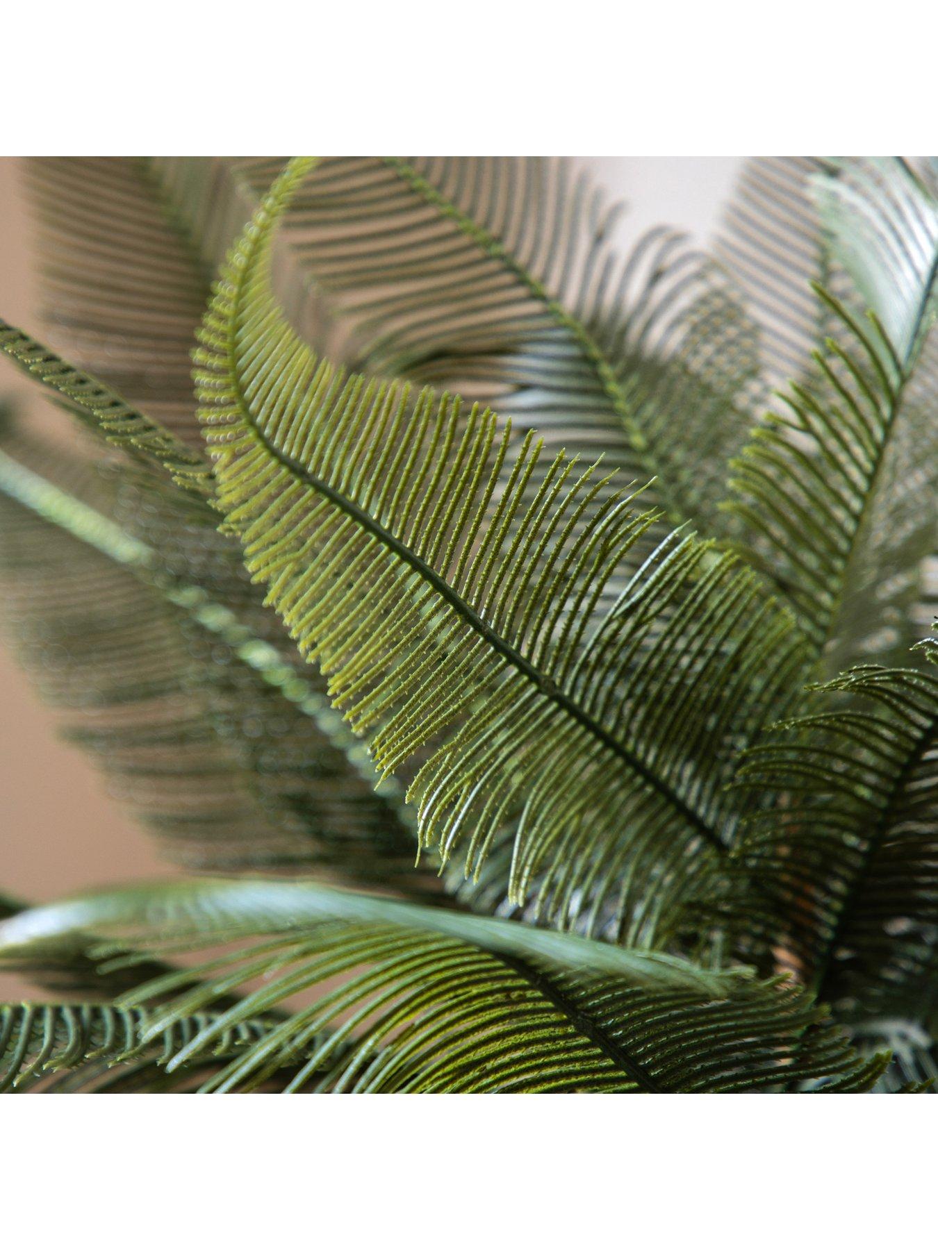 Image 3 of 6 of Gallery Direct Wide Fern In Concrete Pot