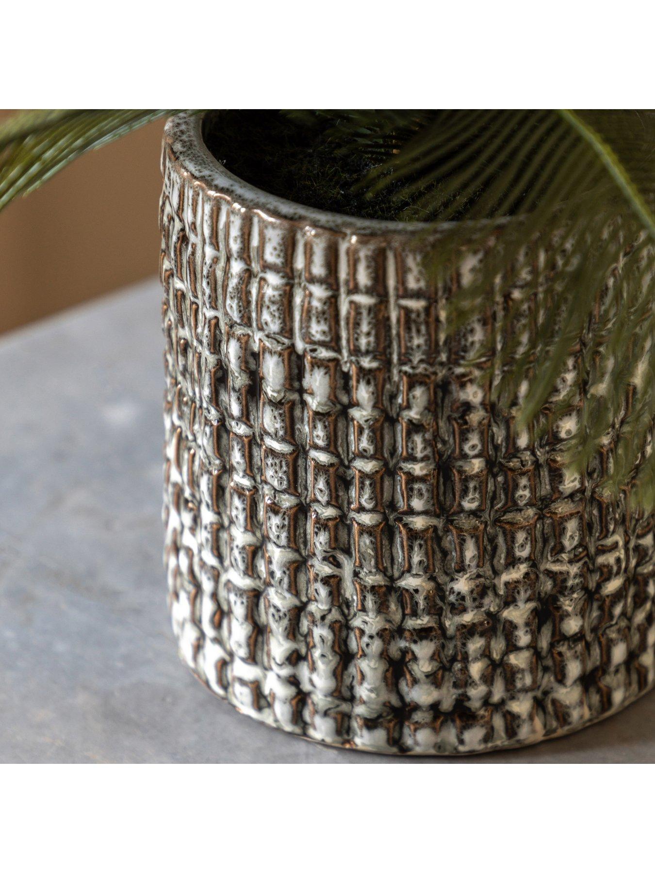 Image 4 of 6 of Gallery Direct Wide Fern In Concrete Pot