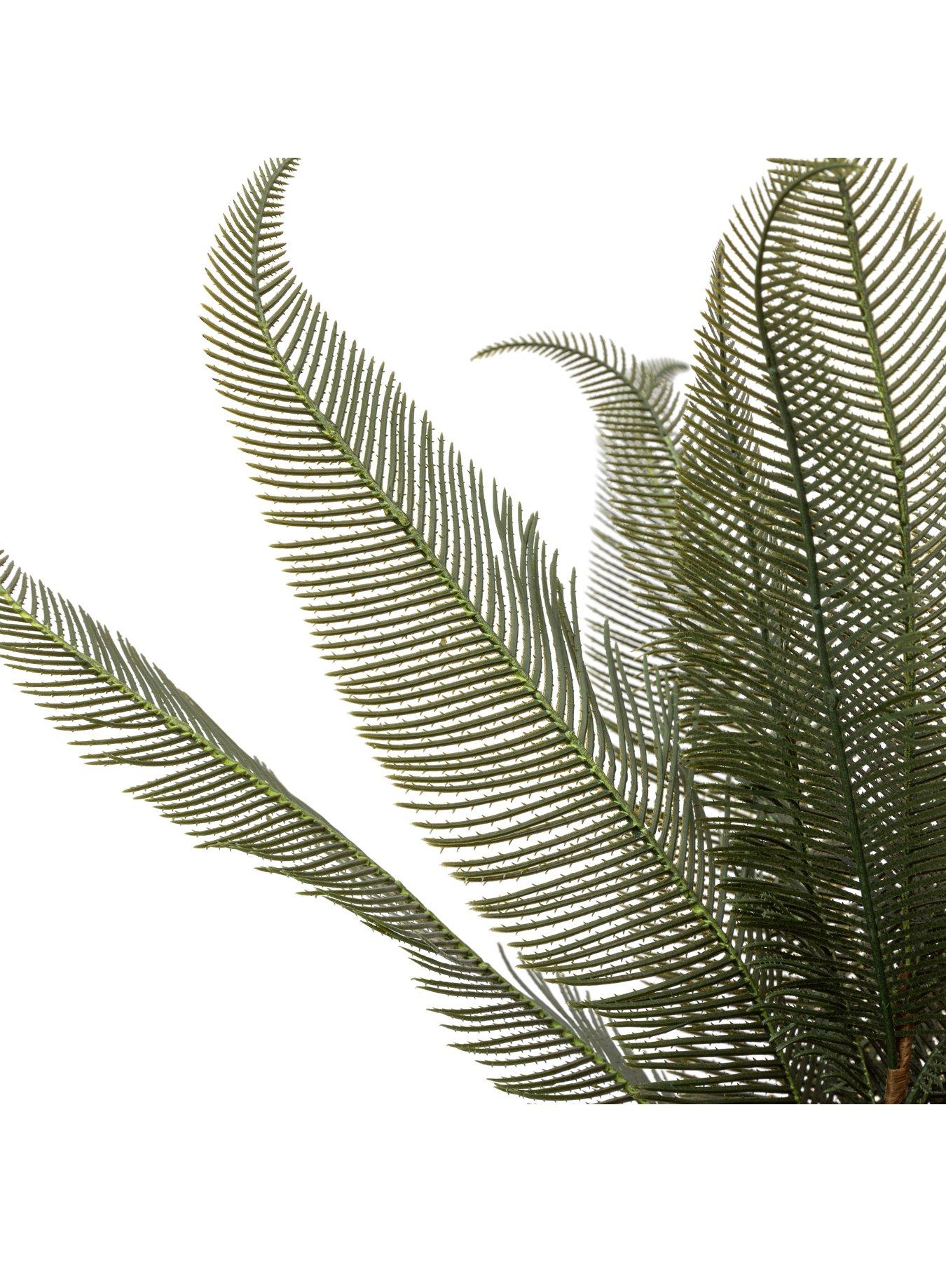 Image 5 of 6 of Gallery Direct Wide Fern In Concrete Pot