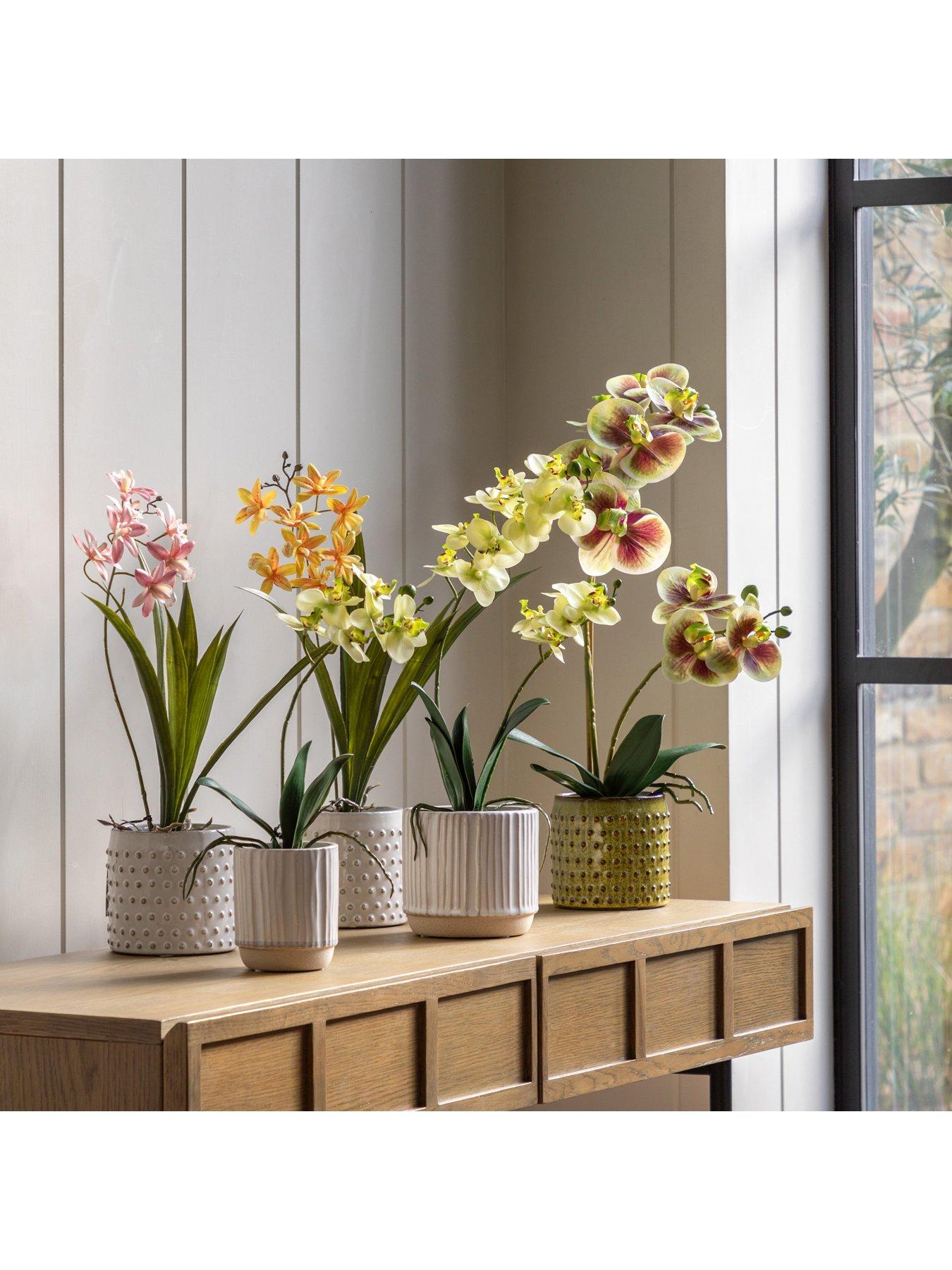 Image 3 of 7 of Gallery Direct Orchid Cream In Ribbed White Ceramic Pot 440mm