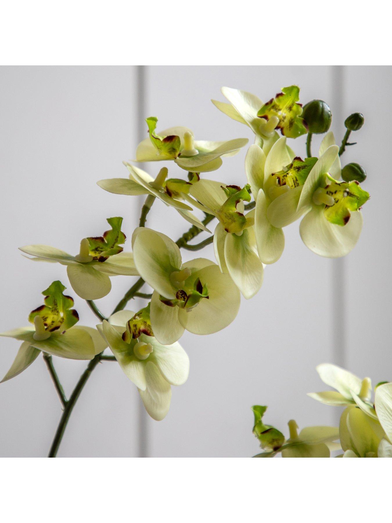 Image 5 of 7 of Gallery Direct Orchid Cream In Ribbed White Ceramic Pot 440mm