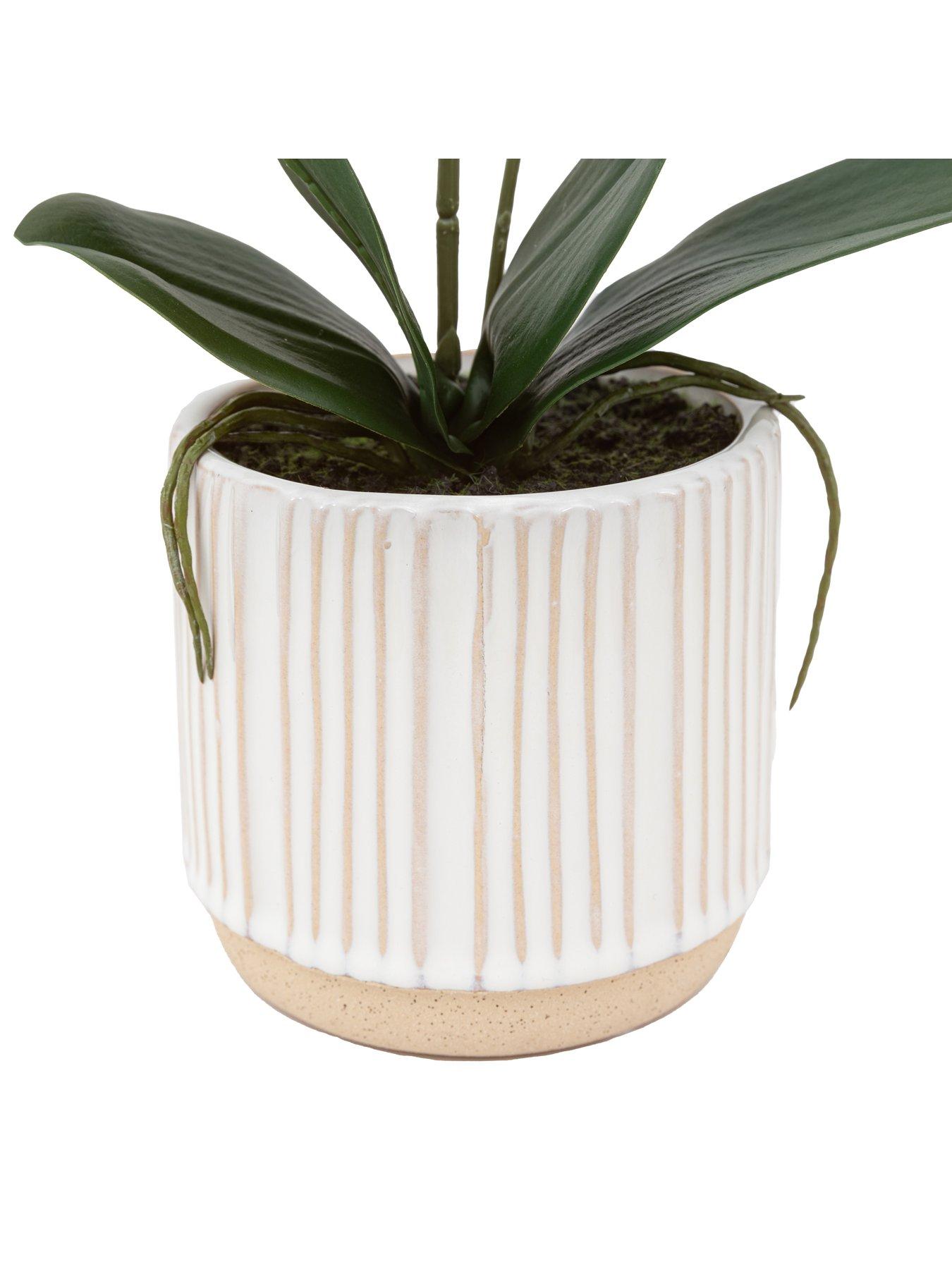 Image 6 of 7 of Gallery Direct Orchid Cream In Ribbed White Ceramic Pot 440mm