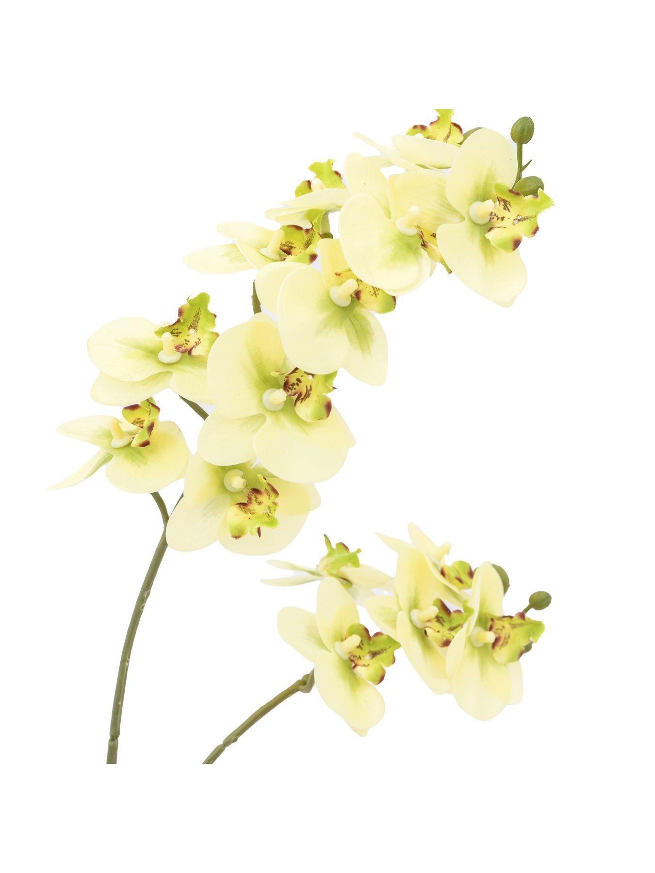 Image 7 of 7 of Gallery Direct Orchid Cream In Ribbed White Ceramic Pot 440mm