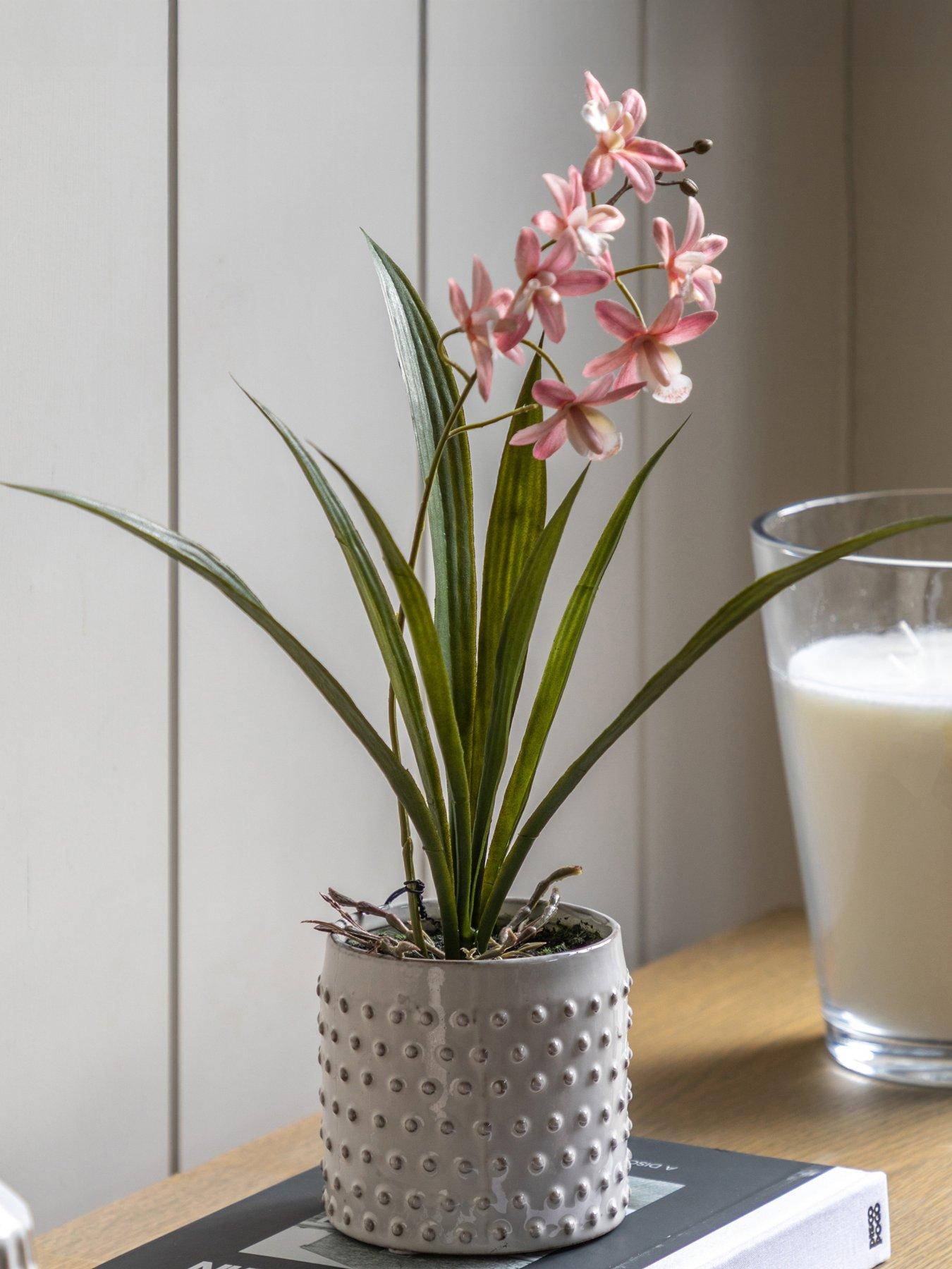 undefined Orchid Pink In White Ceramic Dot Pot 400mm