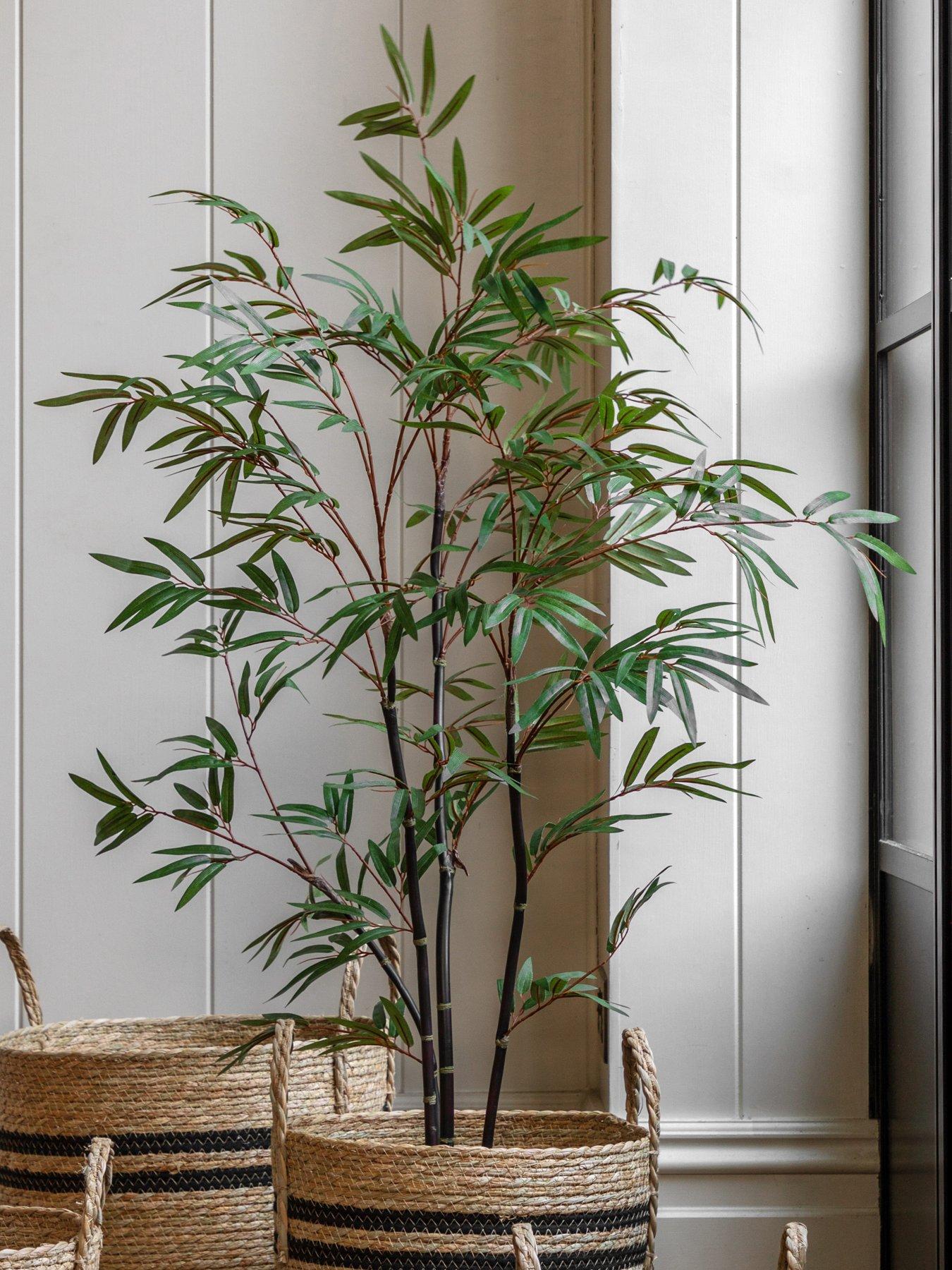 Image 1 of 5 of Gallery Direct Potted Bamboo Tree 4ft