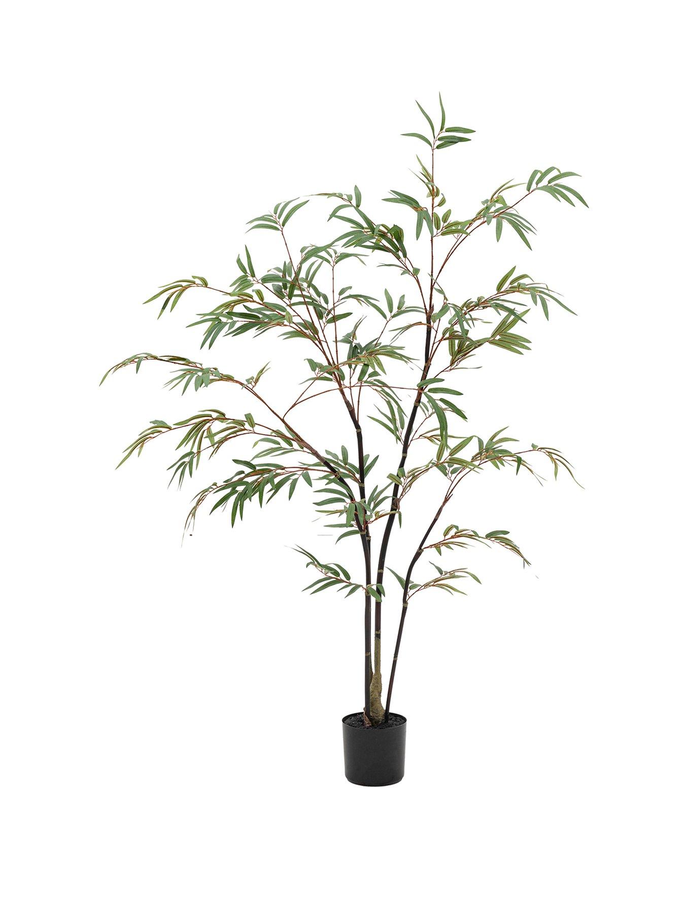 Image 2 of 5 of Gallery Direct Potted Bamboo Tree 4ft