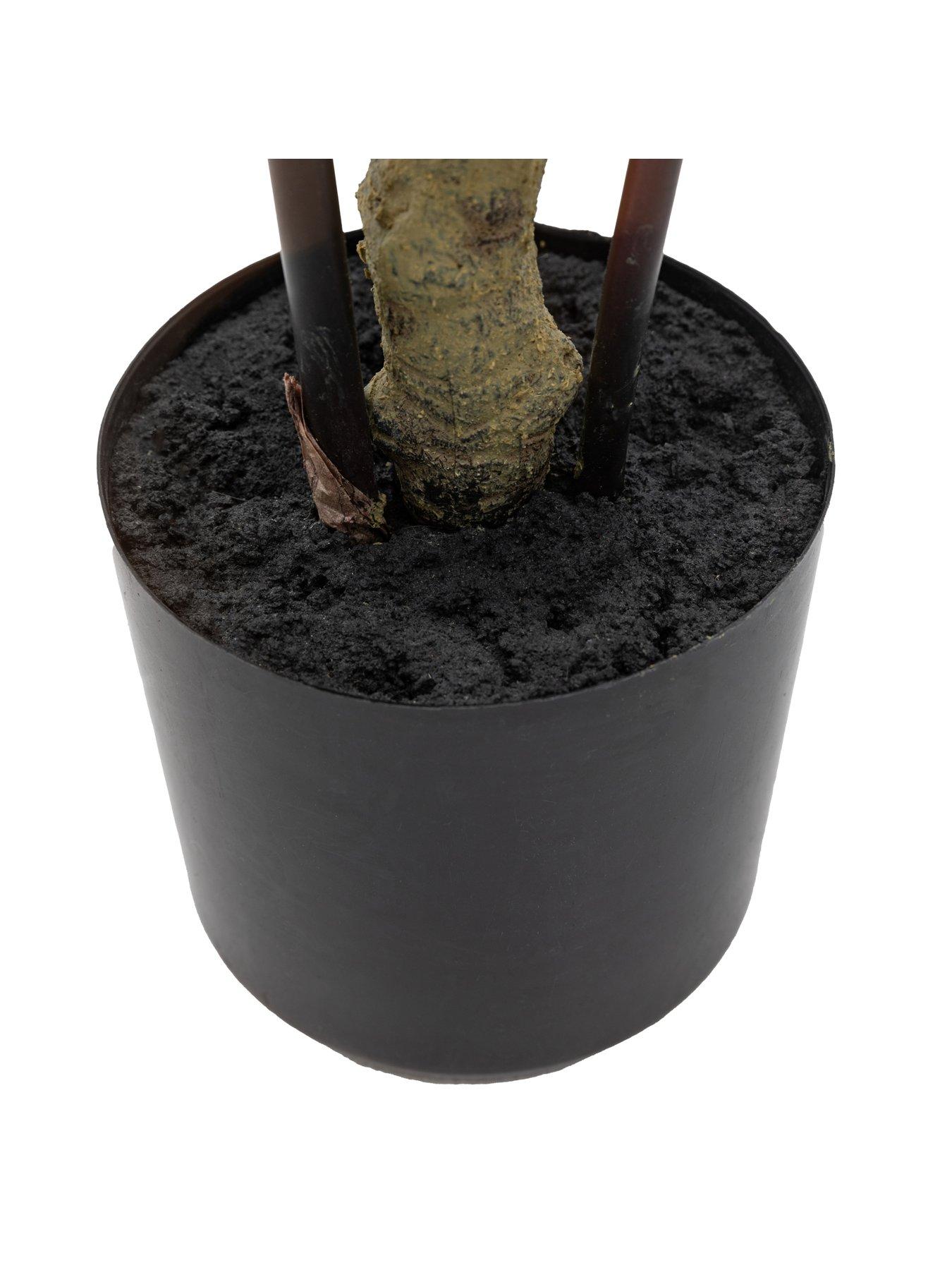 Image 3 of 5 of Gallery Direct Potted Bamboo Tree 4ft