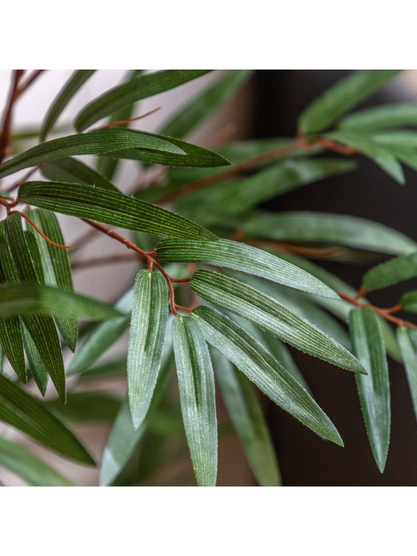 Image 4 of 5 of Gallery Direct Potted Bamboo Tree 4ft