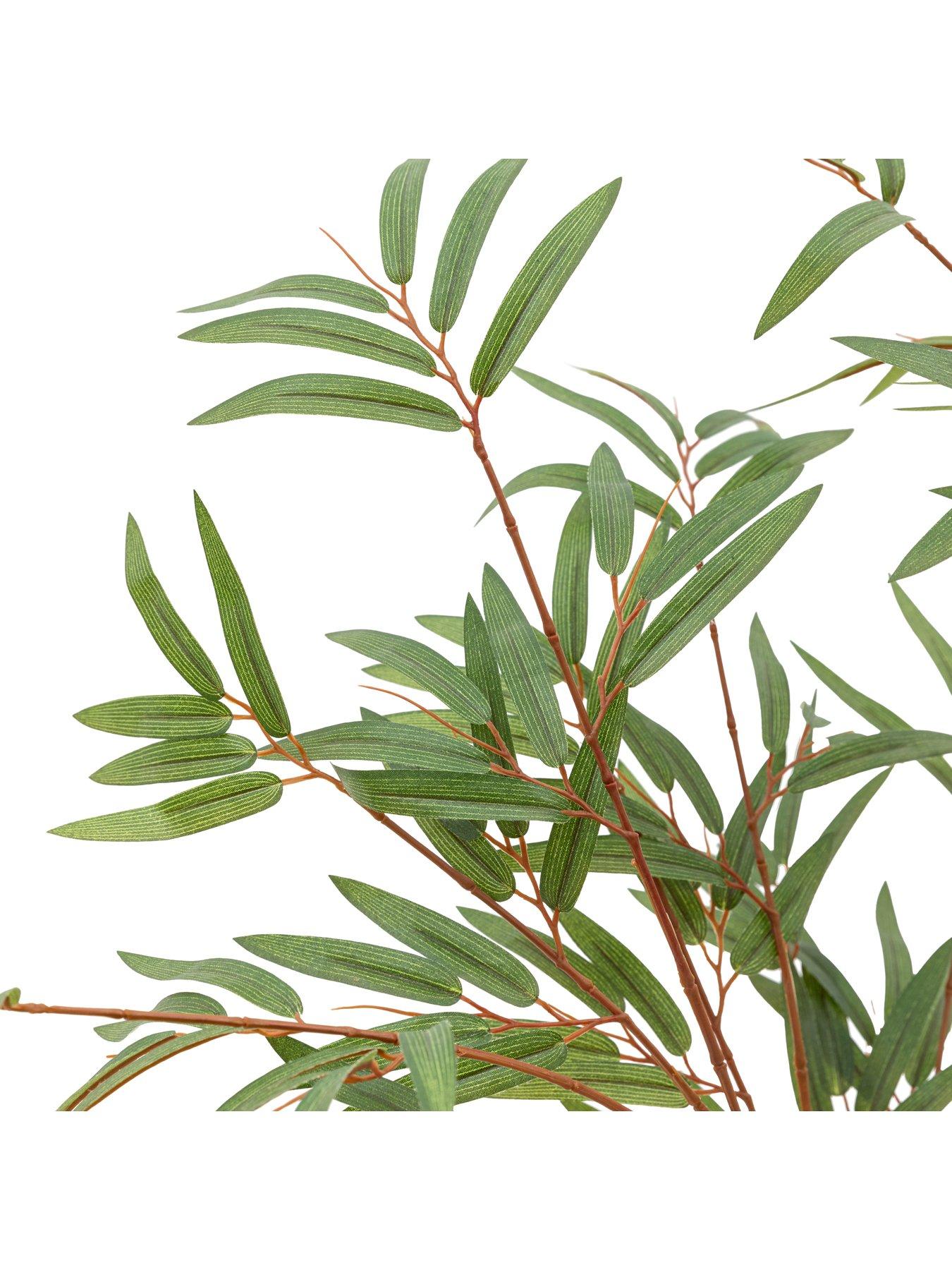 Image 5 of 5 of Gallery Direct Potted Bamboo Tree 4ft
