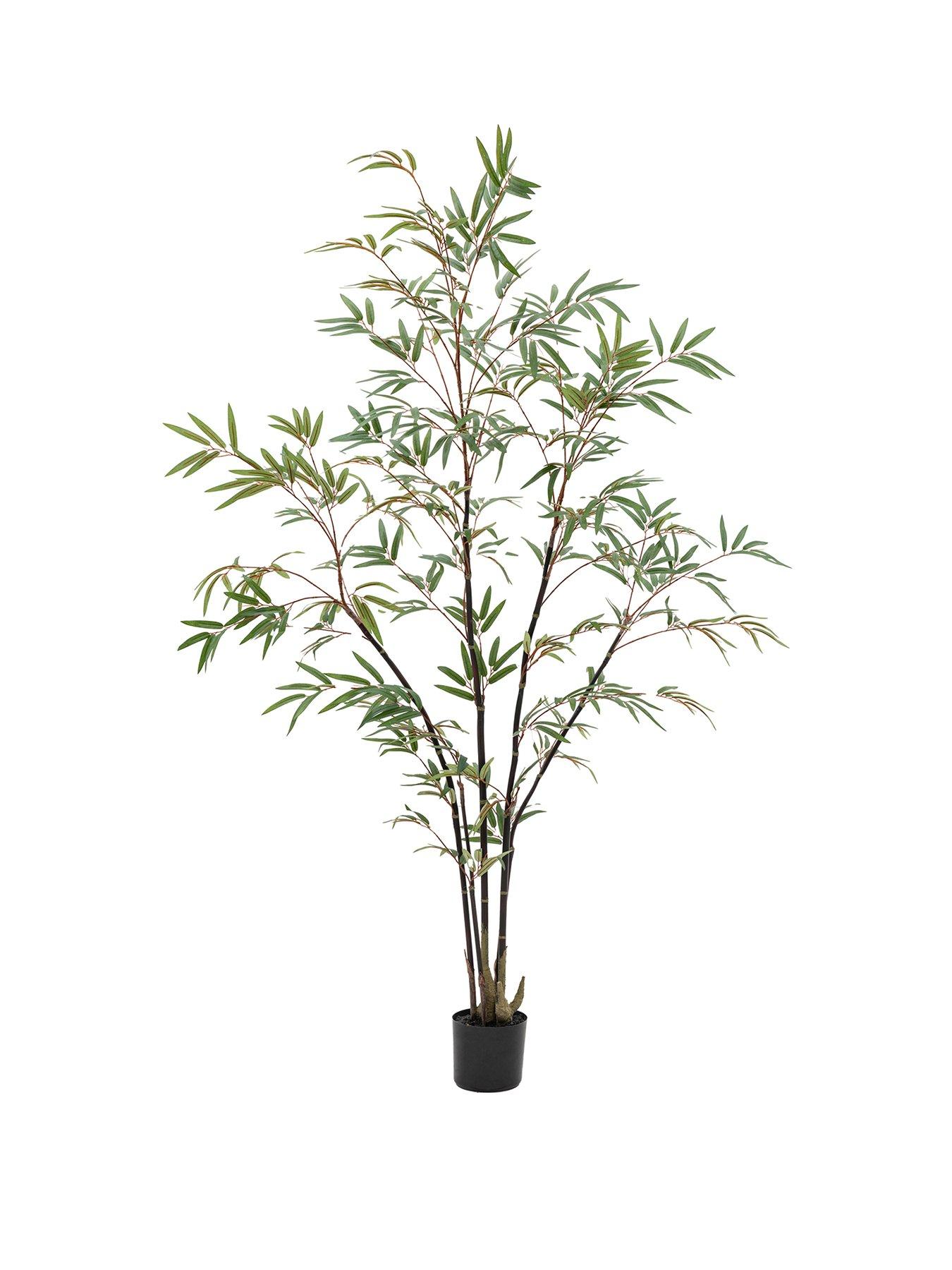 Image 2 of 5 of Gallery Direct Potted Bamboo Tree 5ft