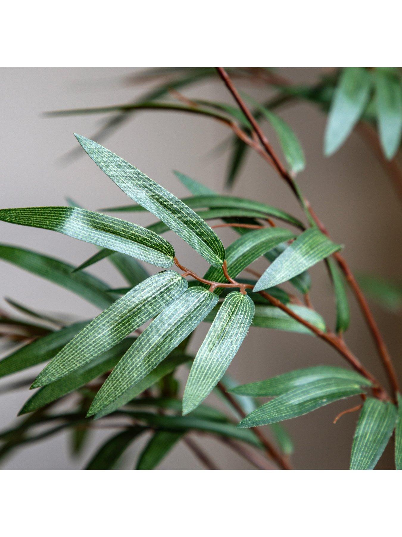 Image 3 of 5 of Gallery Direct Potted Bamboo Tree 5ft