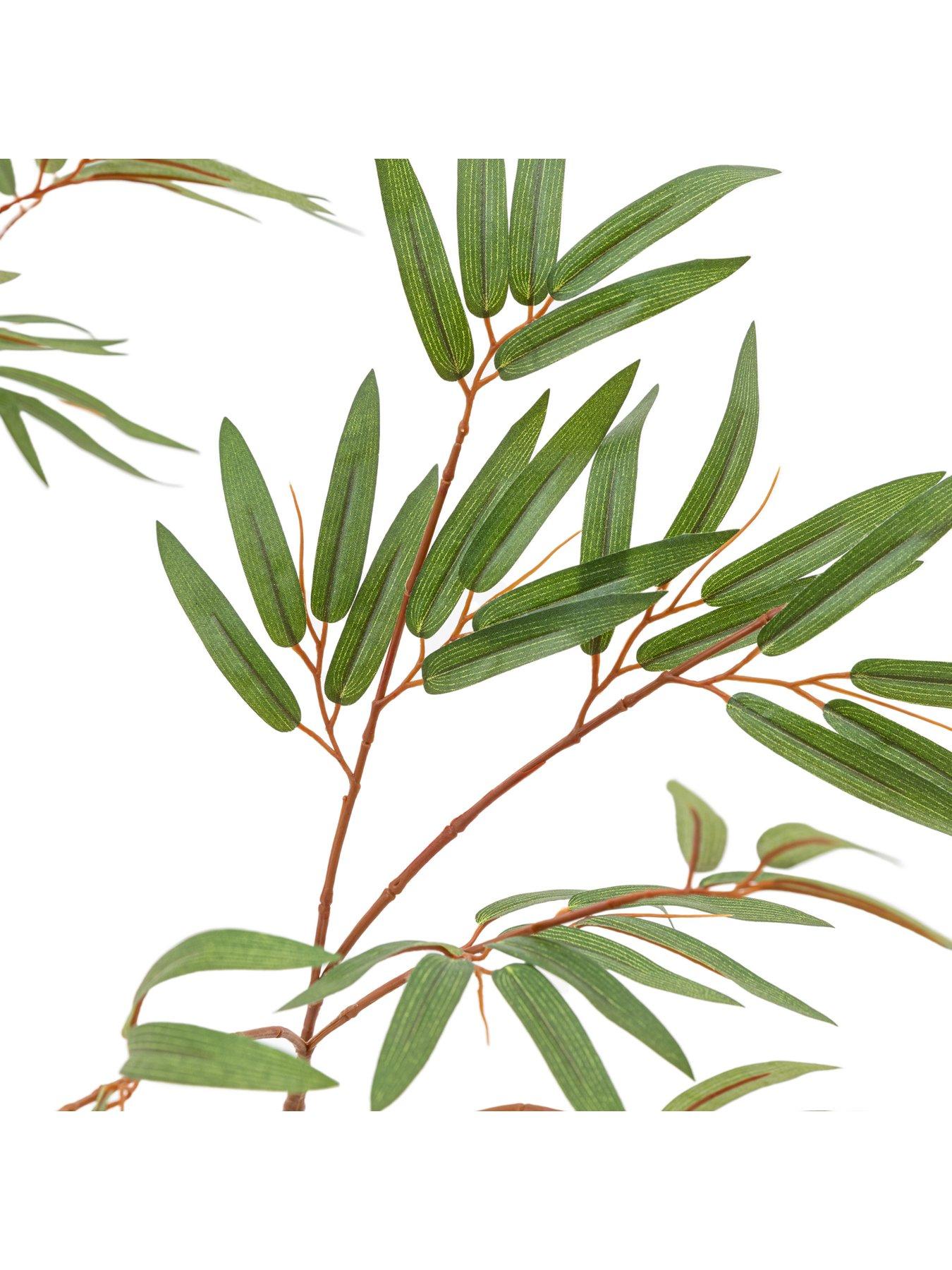 Image 4 of 5 of Gallery Direct Potted Bamboo Tree 5ft