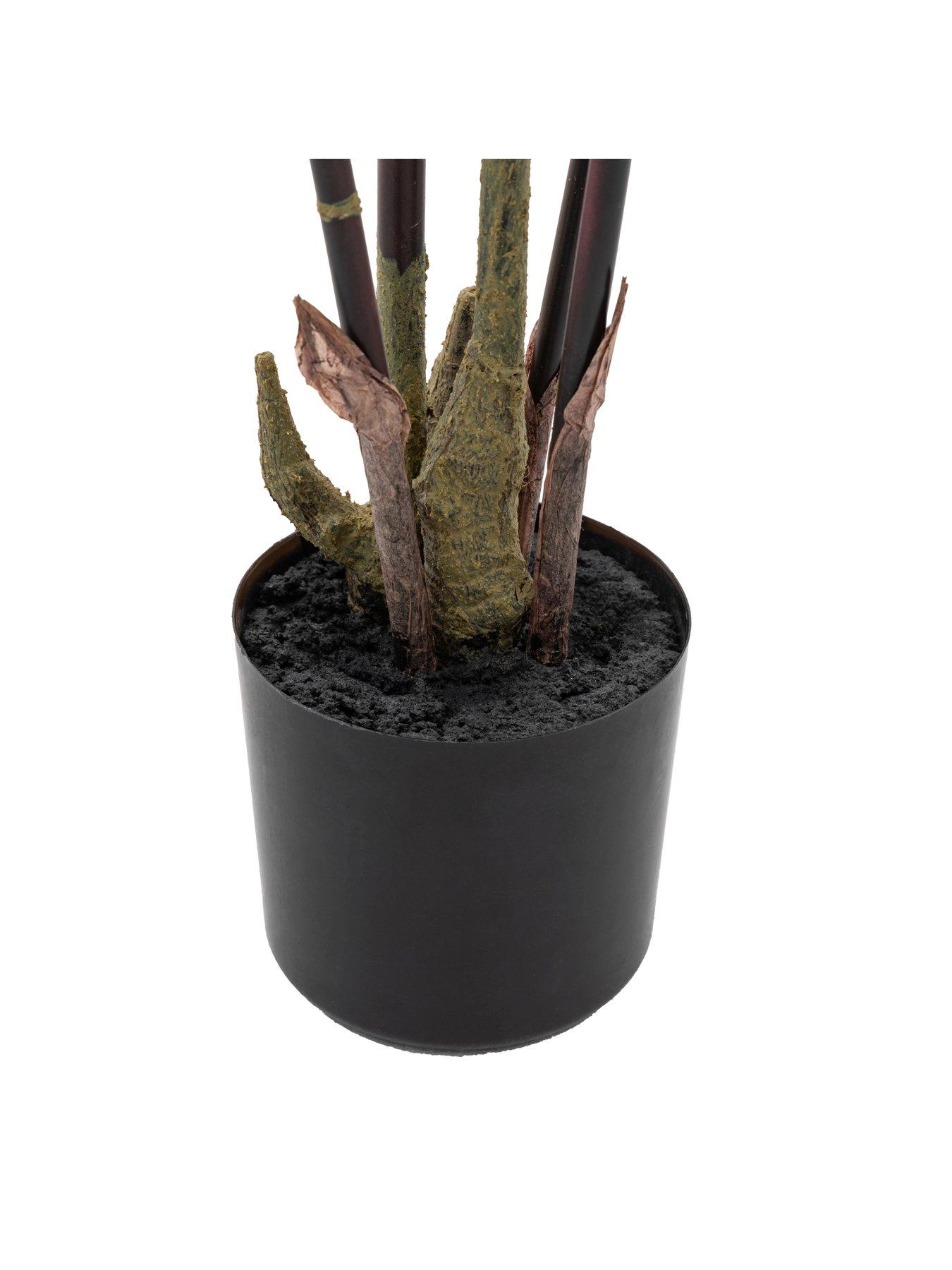 Image 5 of 5 of Gallery Direct Potted Bamboo Tree 5ft