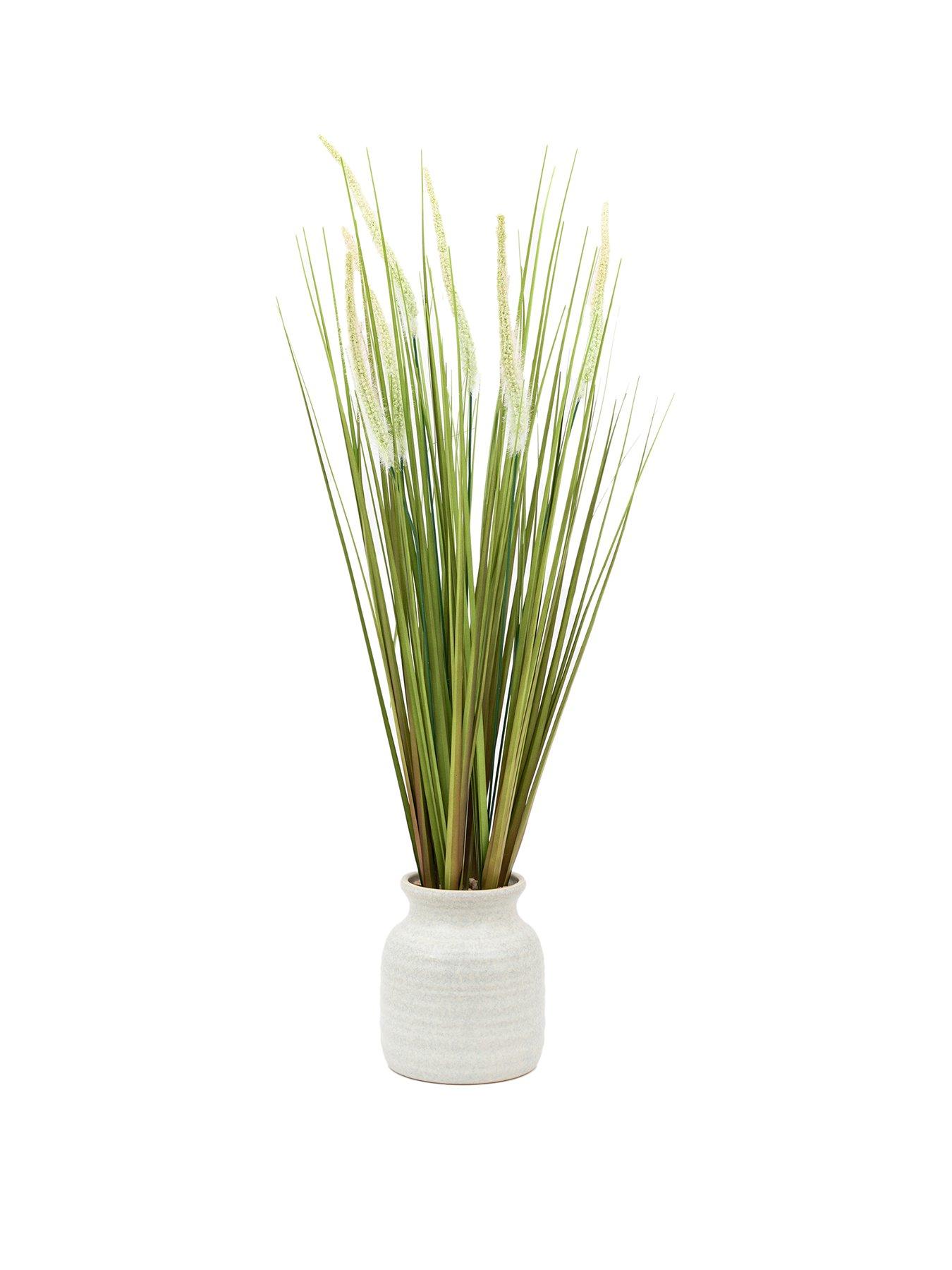 Image 2 of 6 of Gallery Direct Potted Grass With Feathered Wildflower
