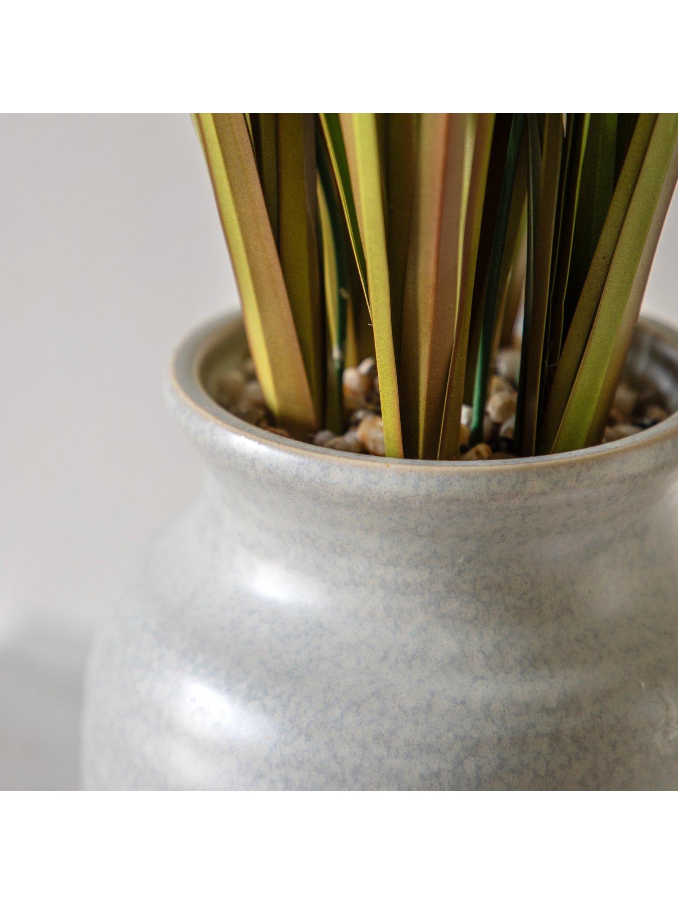 Image 4 of 6 of Gallery Direct Potted Grass With Feathered Wildflower