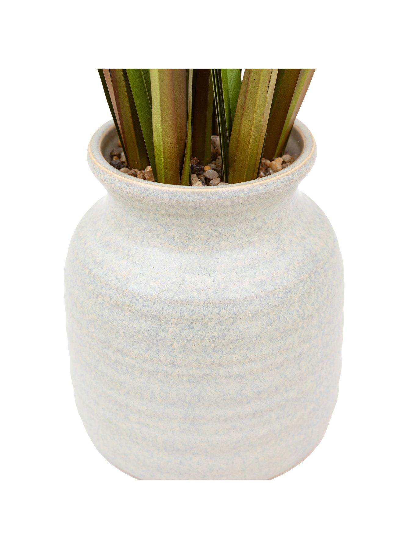 Image 5 of 6 of Gallery Direct Potted Grass With Feathered Wildflower