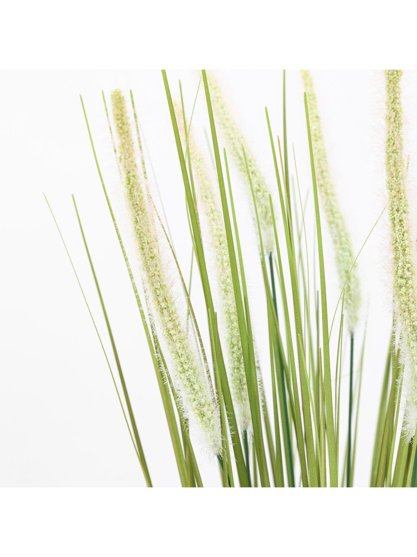 Image 6 of 6 of Gallery Direct Potted Grass With Feathered Wildflower