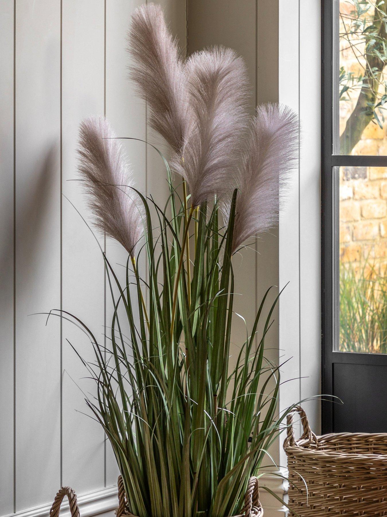 gallery-direct-potted-grass-with-pampas-seed-heads-5pk-1270mm