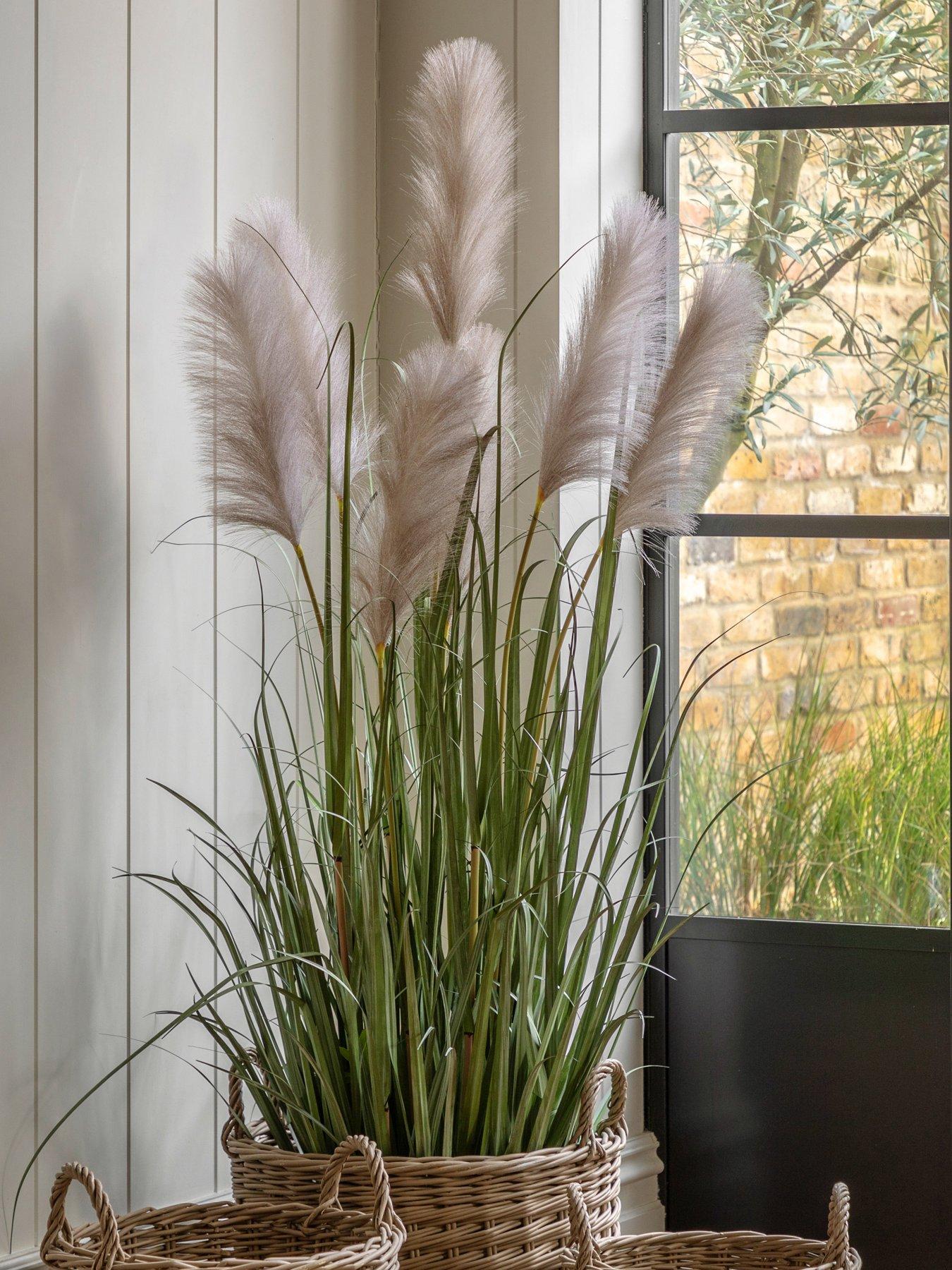 Image 1 of 6 of Gallery Direct Potted Grass With Pampas Seed Heads (5pk) 1570mm