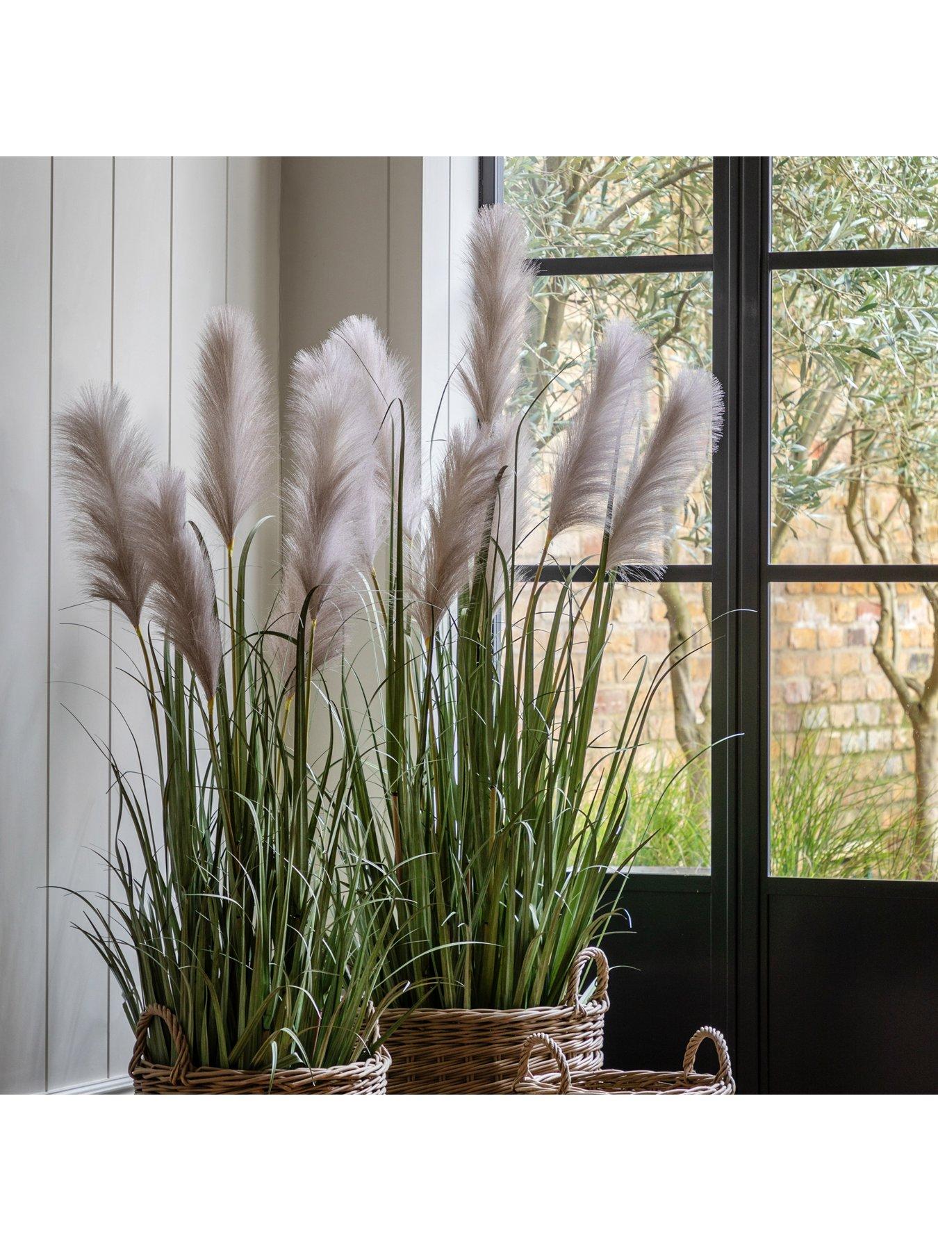 Image 4 of 6 of Gallery Direct Potted Grass With Pampas Seed Heads (5pk) 1570mm