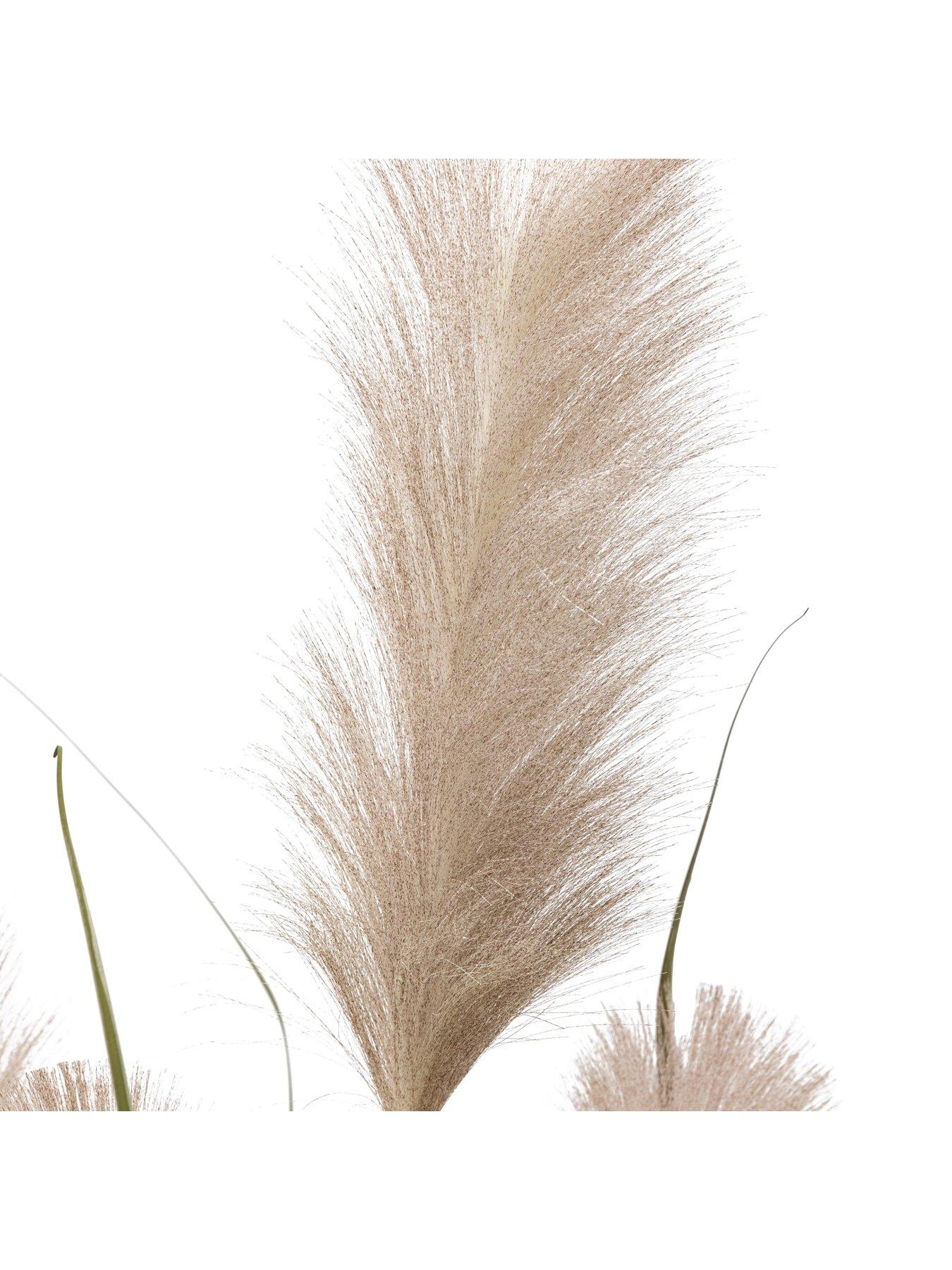 Image 6 of 6 of Gallery Direct Potted Grass With Pampas Seed Heads (5pk) 1570mm