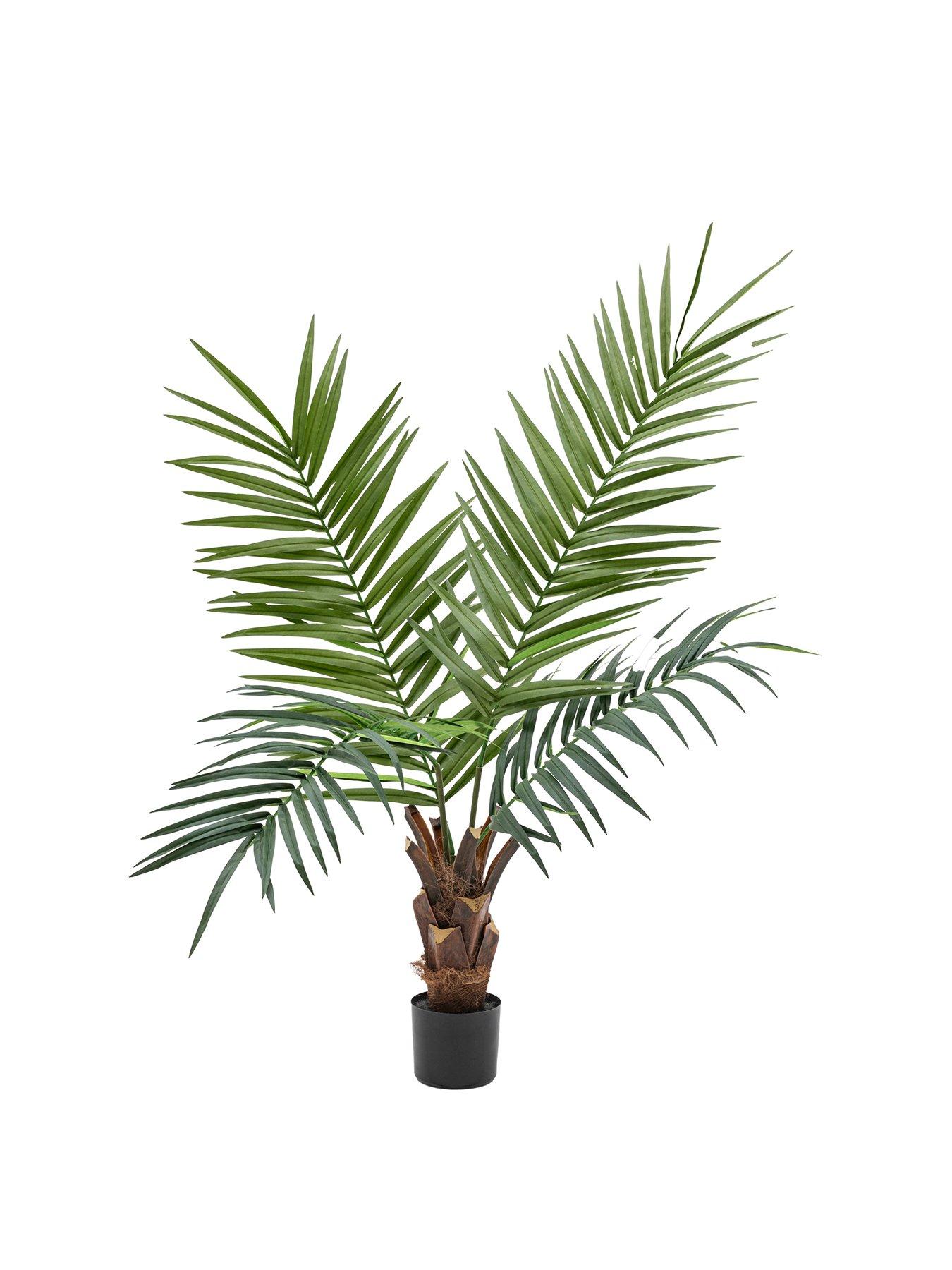 Image 2 of 6 of Gallery Direct Potted King Kentia Palm Tree 4ft