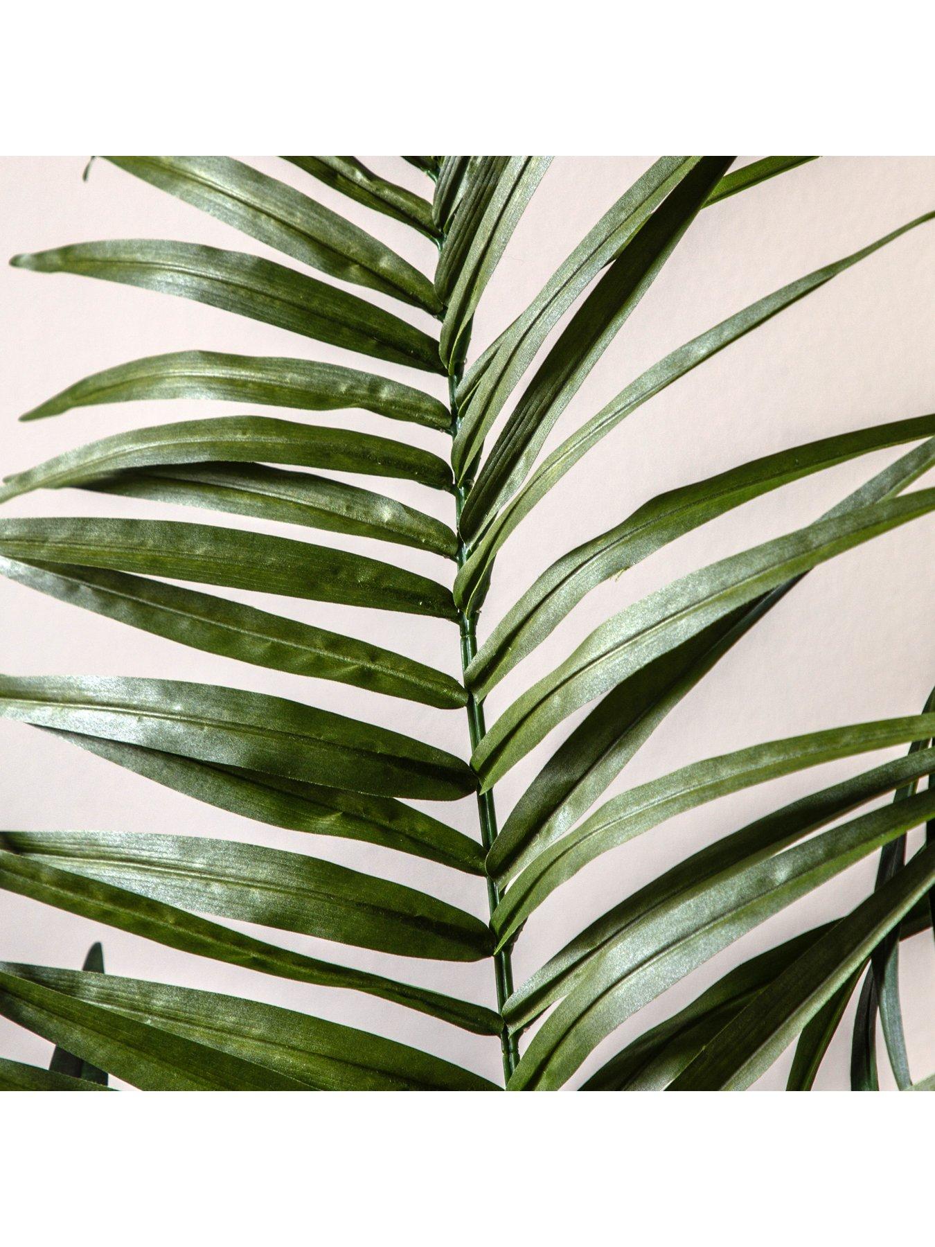 Image 3 of 6 of Gallery Direct Potted King Kentia Palm Tree 4ft