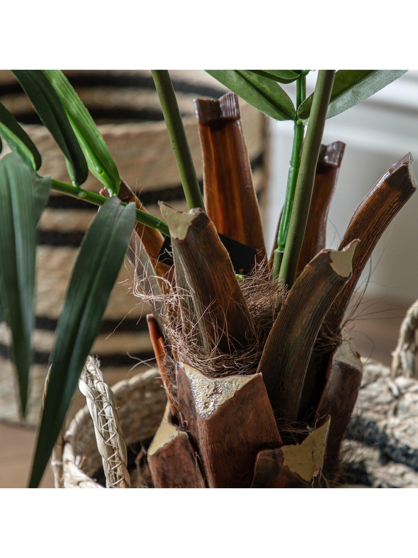 Image 4 of 6 of Gallery Direct Potted King Kentia Palm Tree 4ft