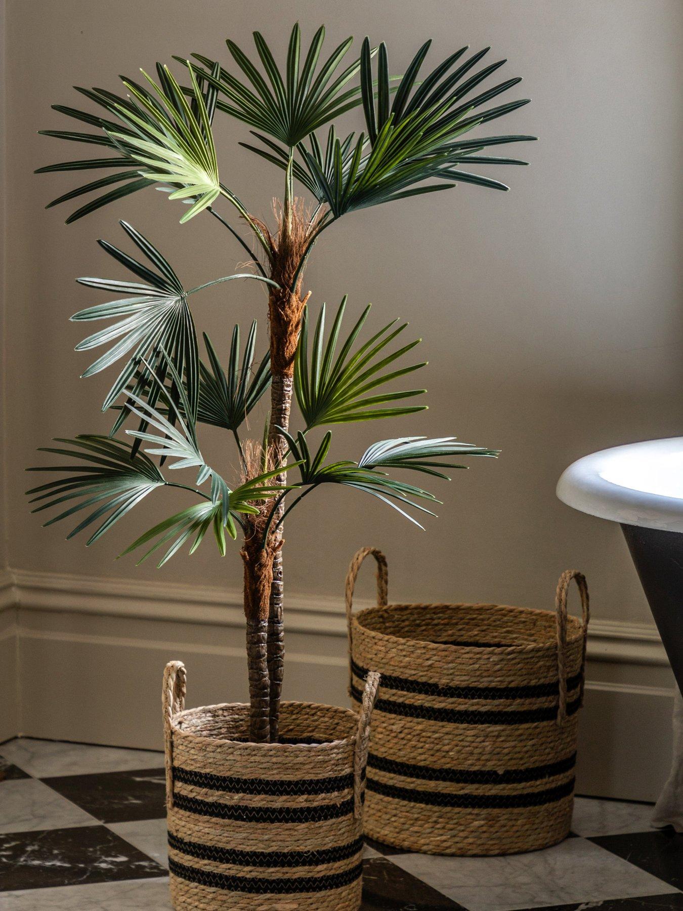 Image 1 of 5 of Gallery Direct Potted Statement Palm 1580mm