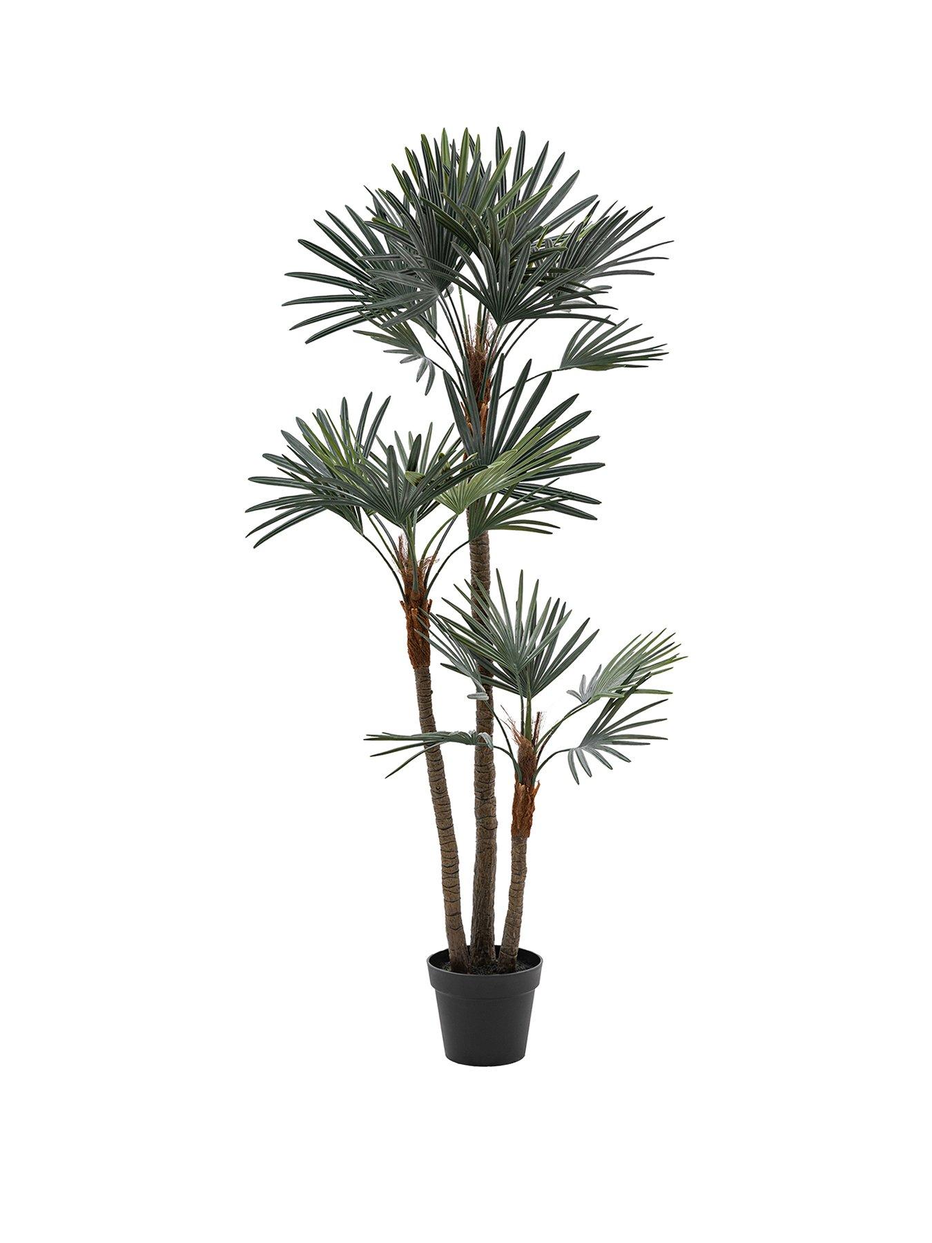 Image 2 of 5 of Gallery Direct Potted Statement Palm 1580mm