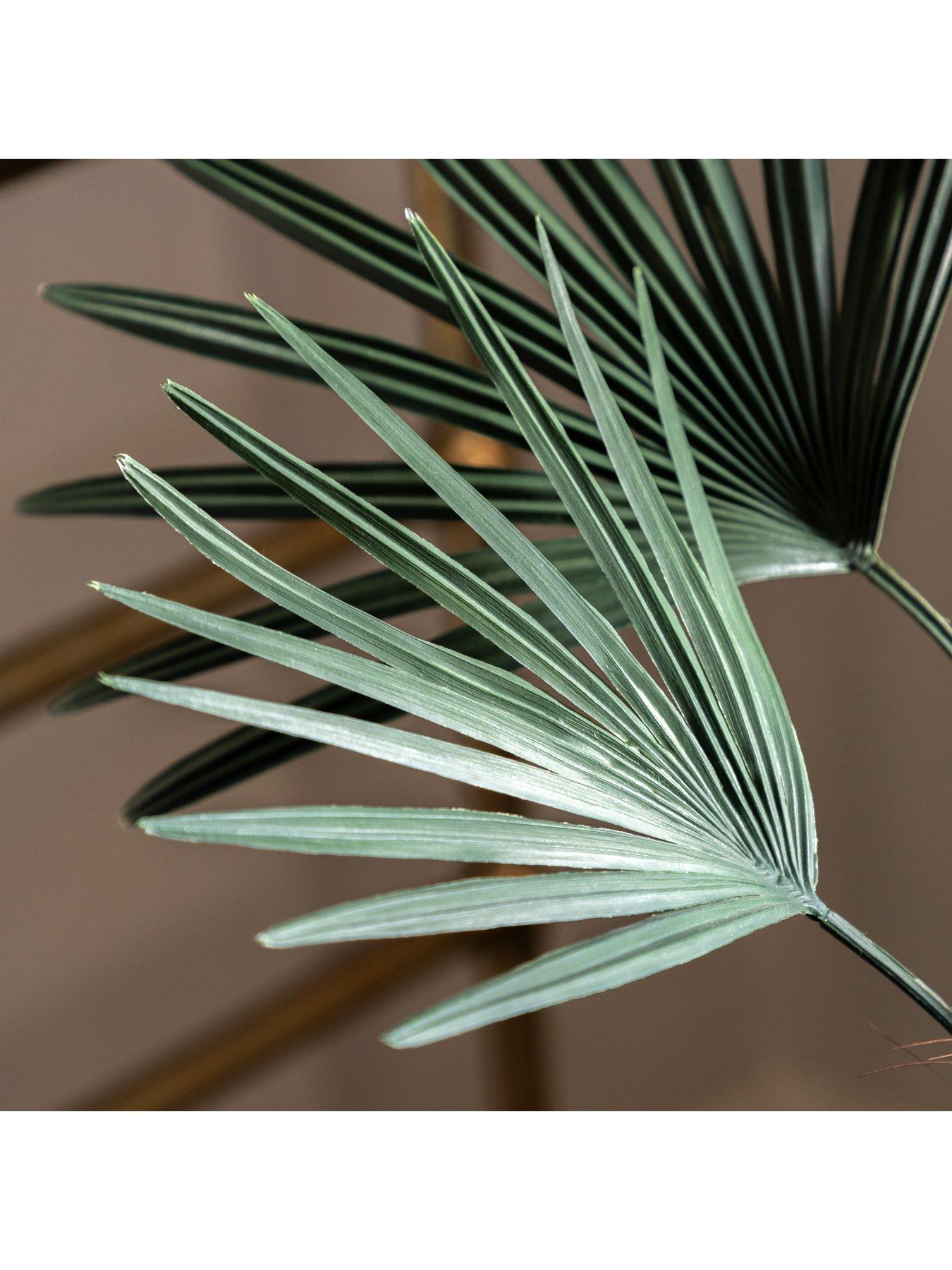 Image 3 of 5 of Gallery Direct Potted Statement Palm 1580mm