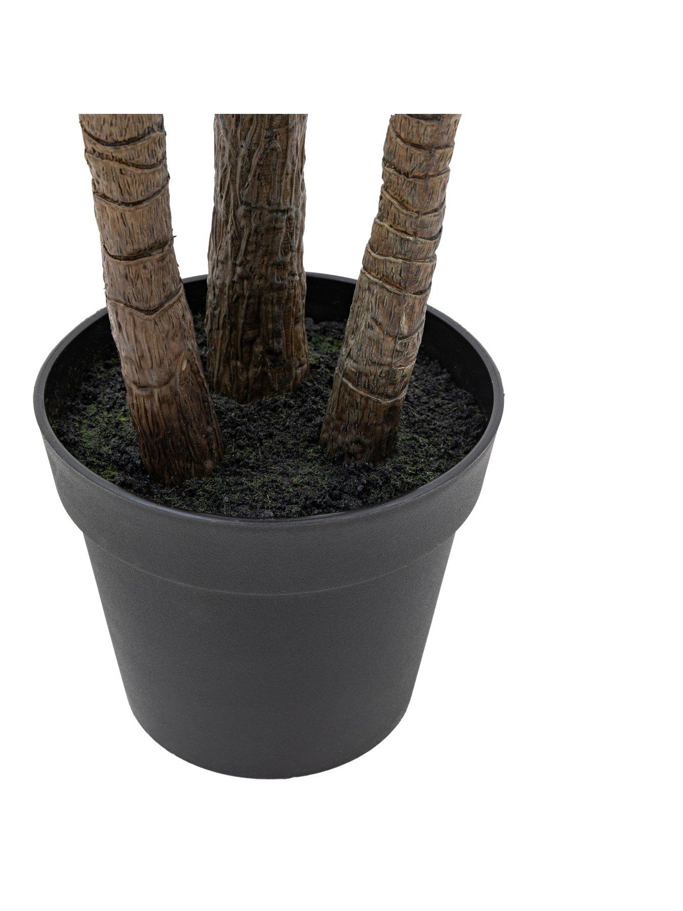 Image 5 of 5 of Gallery Direct Potted Statement Palm 1580mm