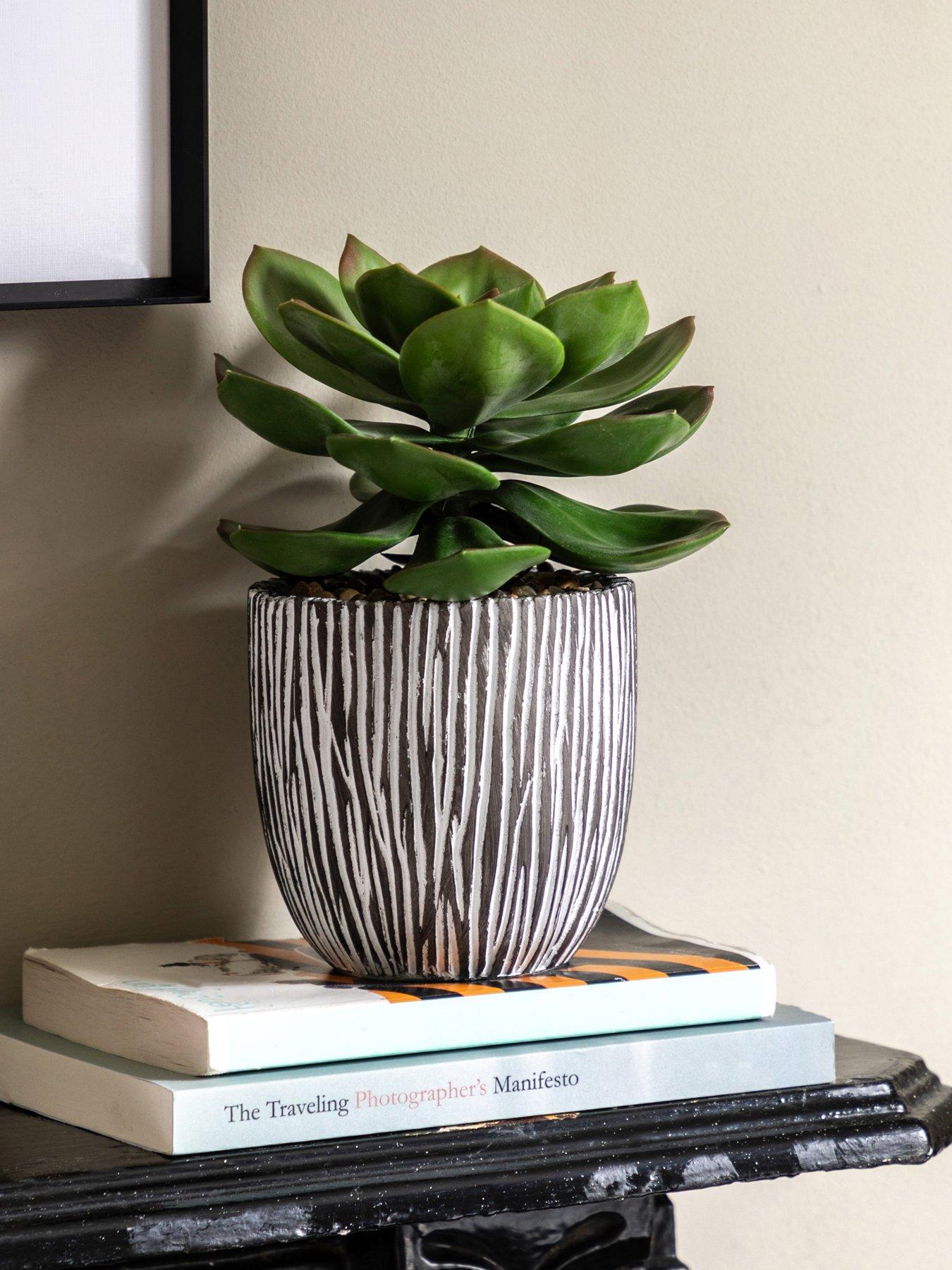 Gallery Direct Potted Succulent In Ribbed Black Ceramic Pot