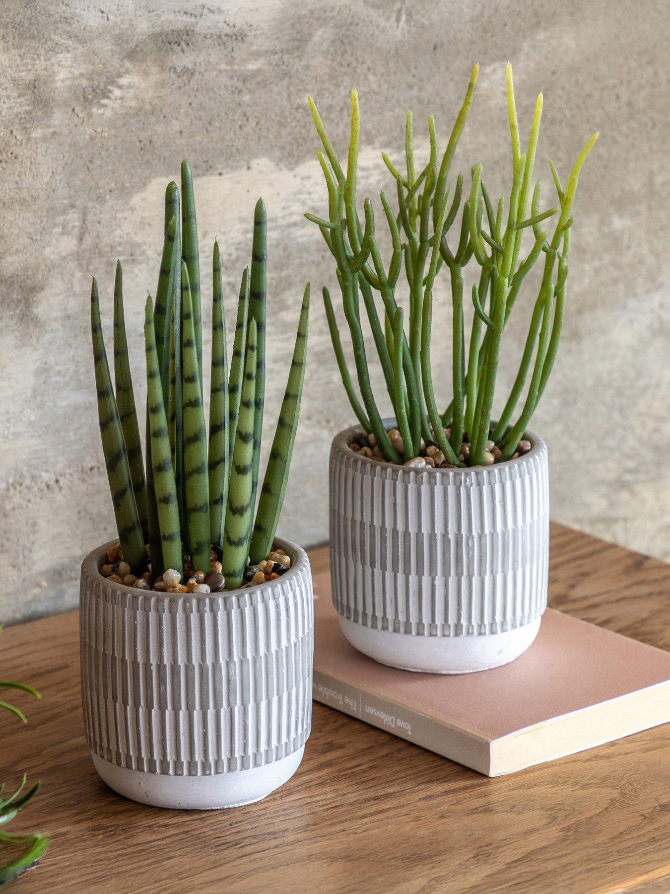 Image 1 of 5 of Gallery Direct Small Succulents Ceramic Pots Set Of 2