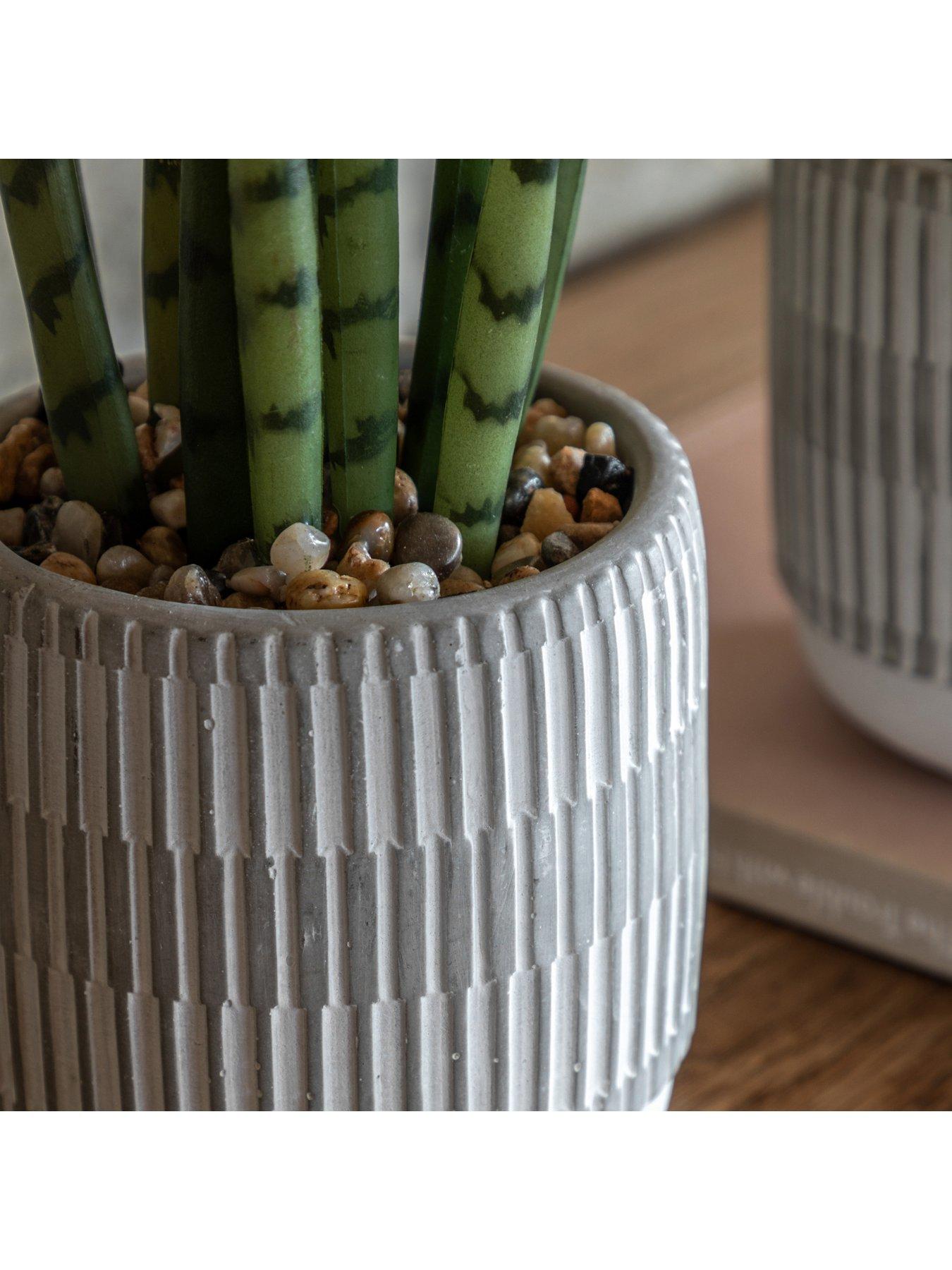 Image 3 of 5 of Gallery Direct Small Succulents Ceramic Pots Set Of 2