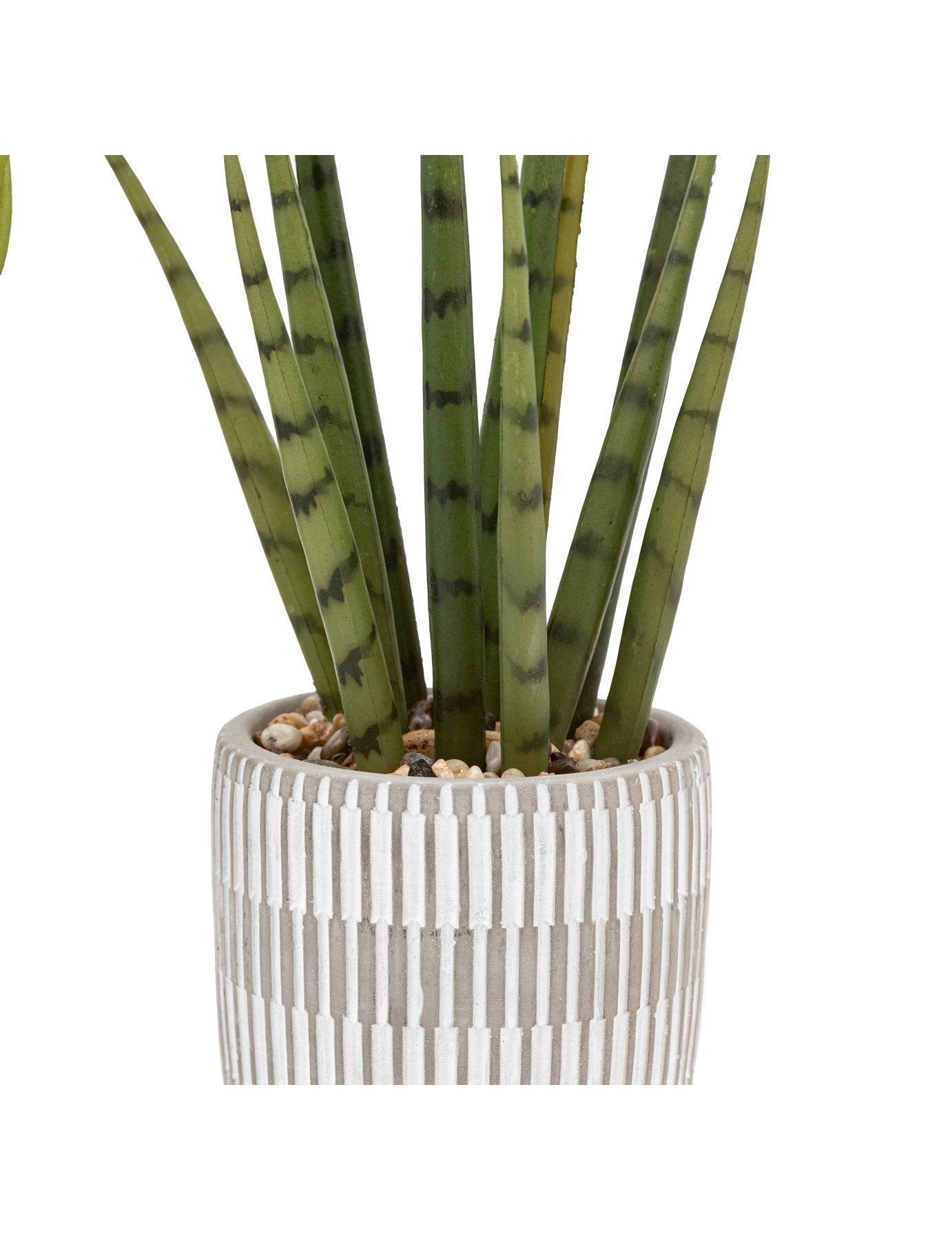 Image 5 of 5 of Gallery Direct Small Succulents Ceramic Pots Set Of 2