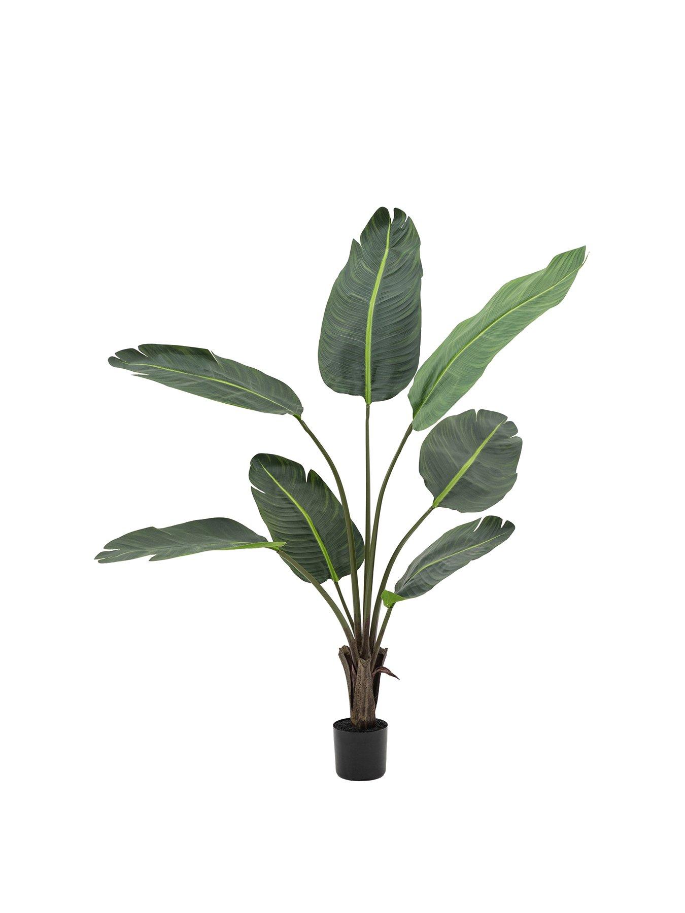 Image 2 of 5 of Gallery Direct Potted Travellers Palm Tree 4ft
