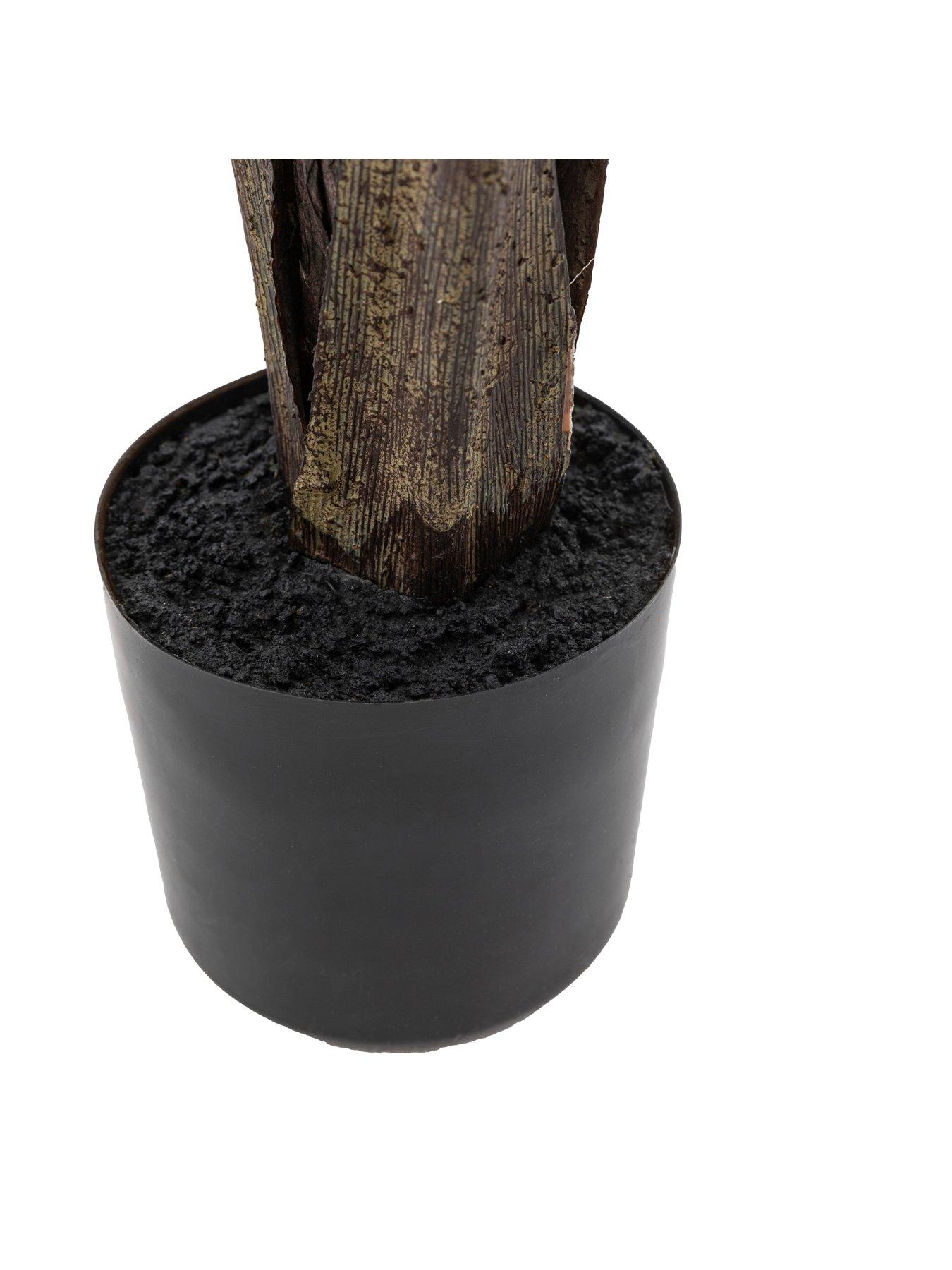 Image 5 of 5 of Gallery Direct Potted Travellers Palm Tree 4ft