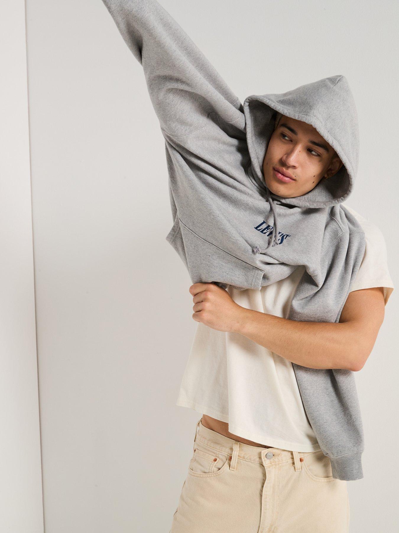  image of levis-relaxed-back-graphic-fleece-logo-hoodie-grey