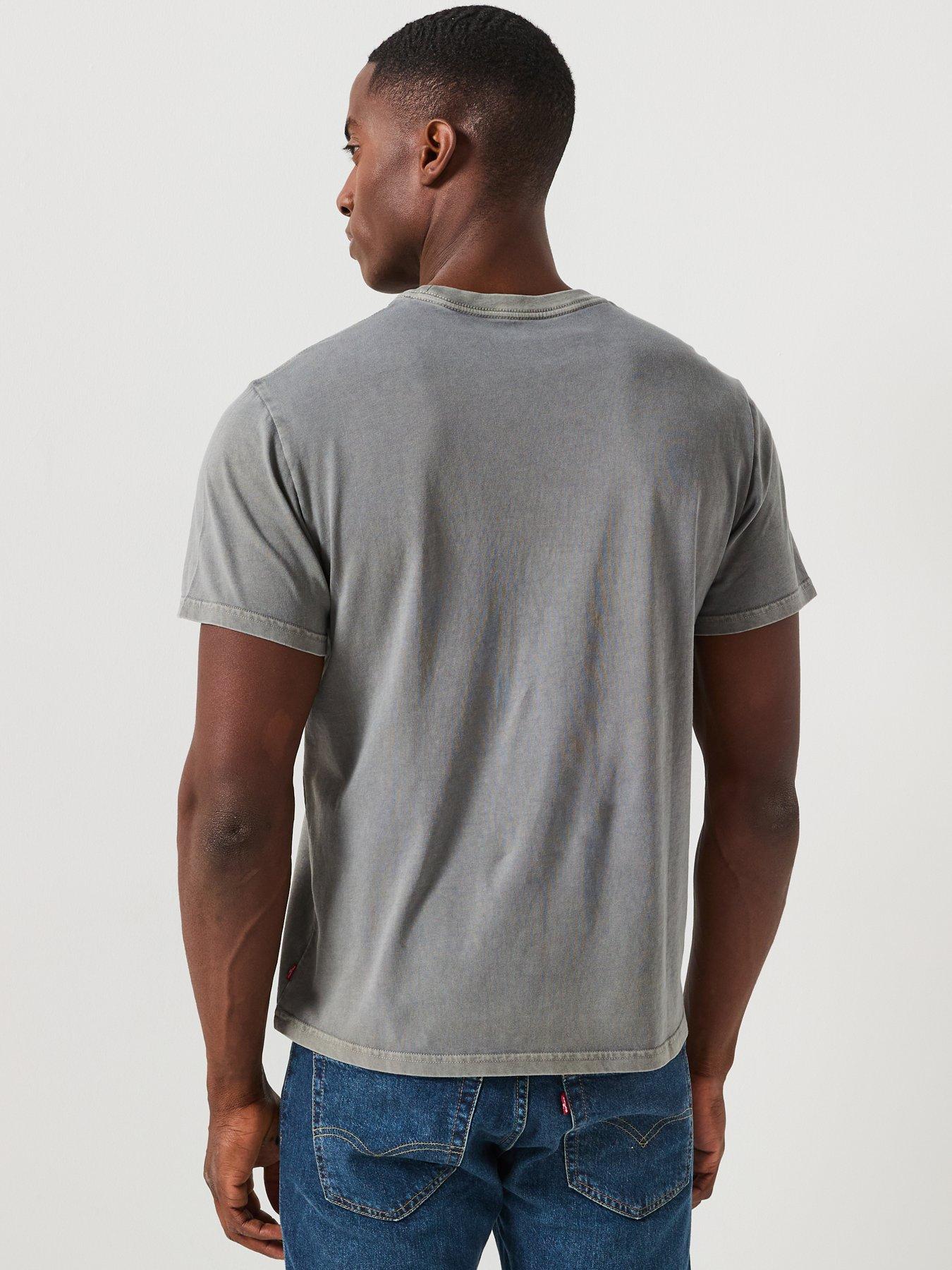 stillFront image of levis-levis-lightening-eagle-graphic-relaxed-fit-t-shirt-grey