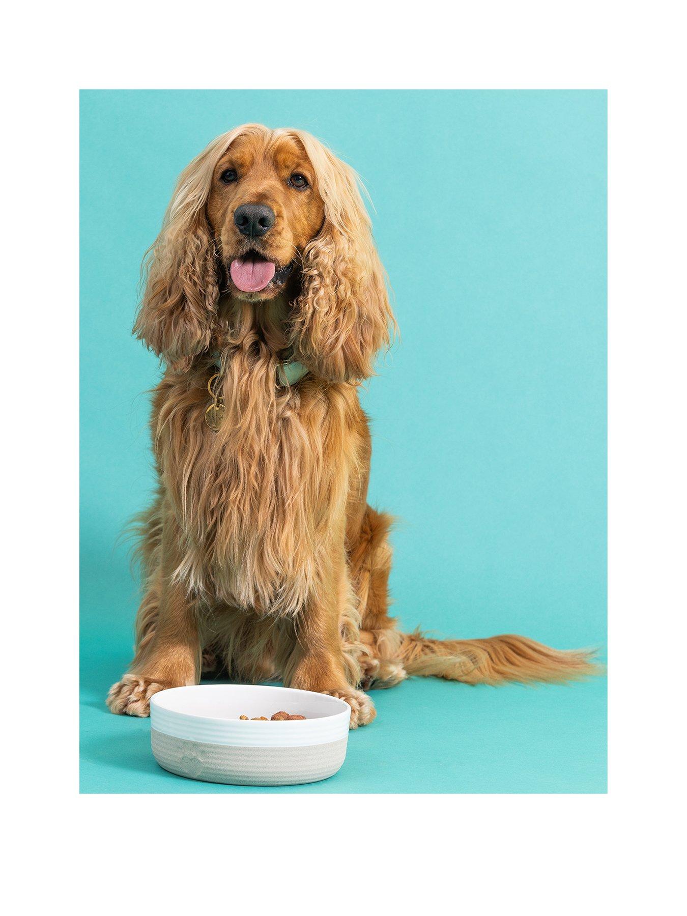 Mason Cash Set Of 2 Heart Paw Bowls